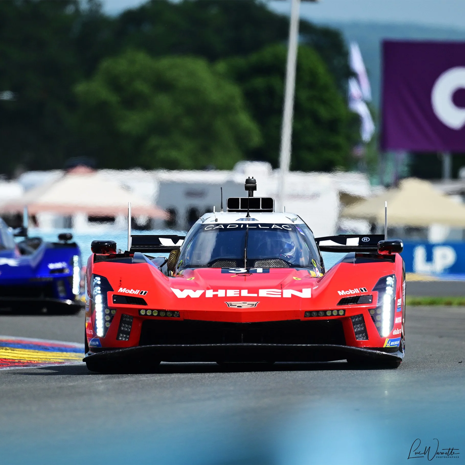 #31 Cadillac Whelen Cadillac