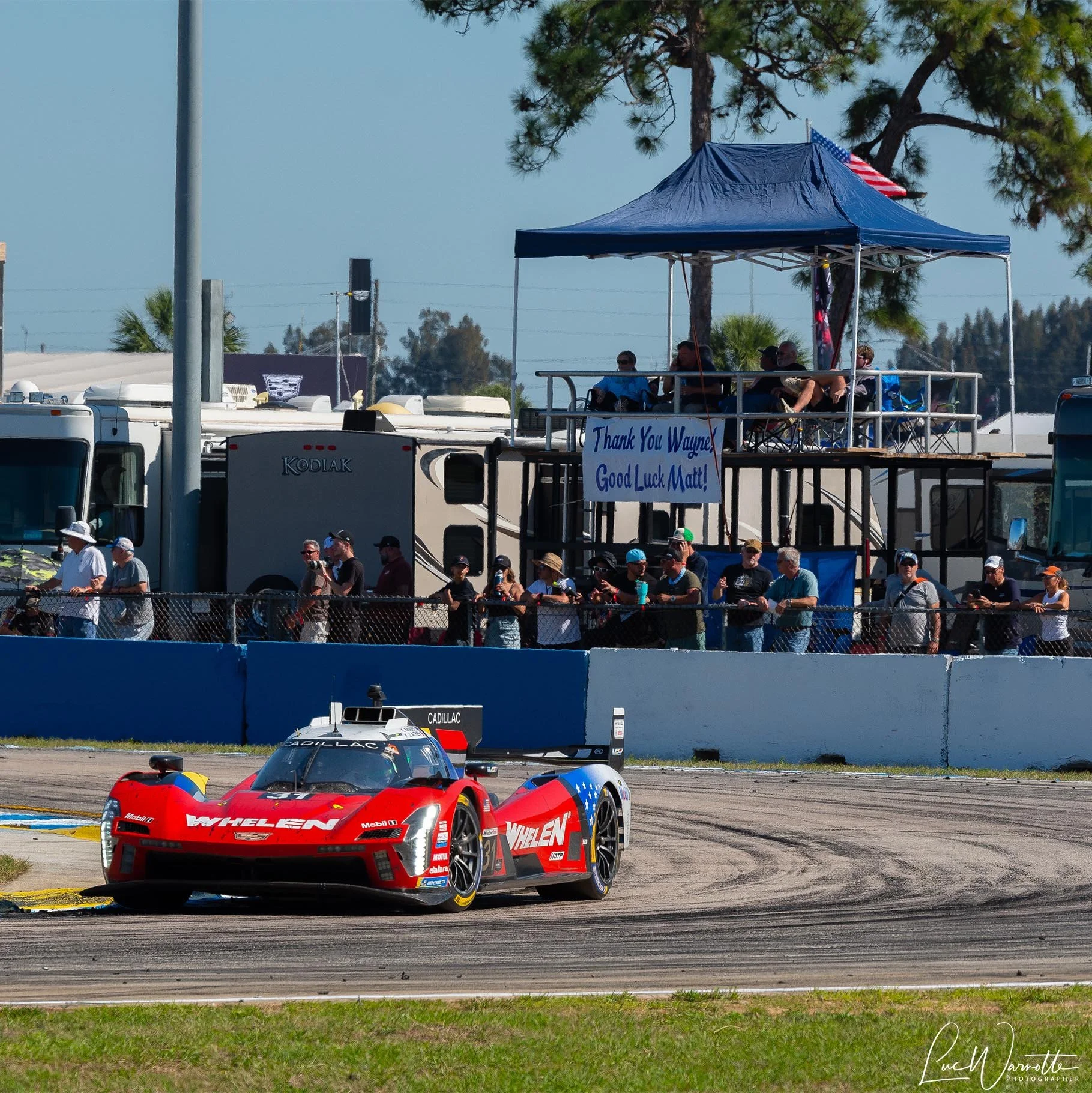 Whelen Cadillac #31
