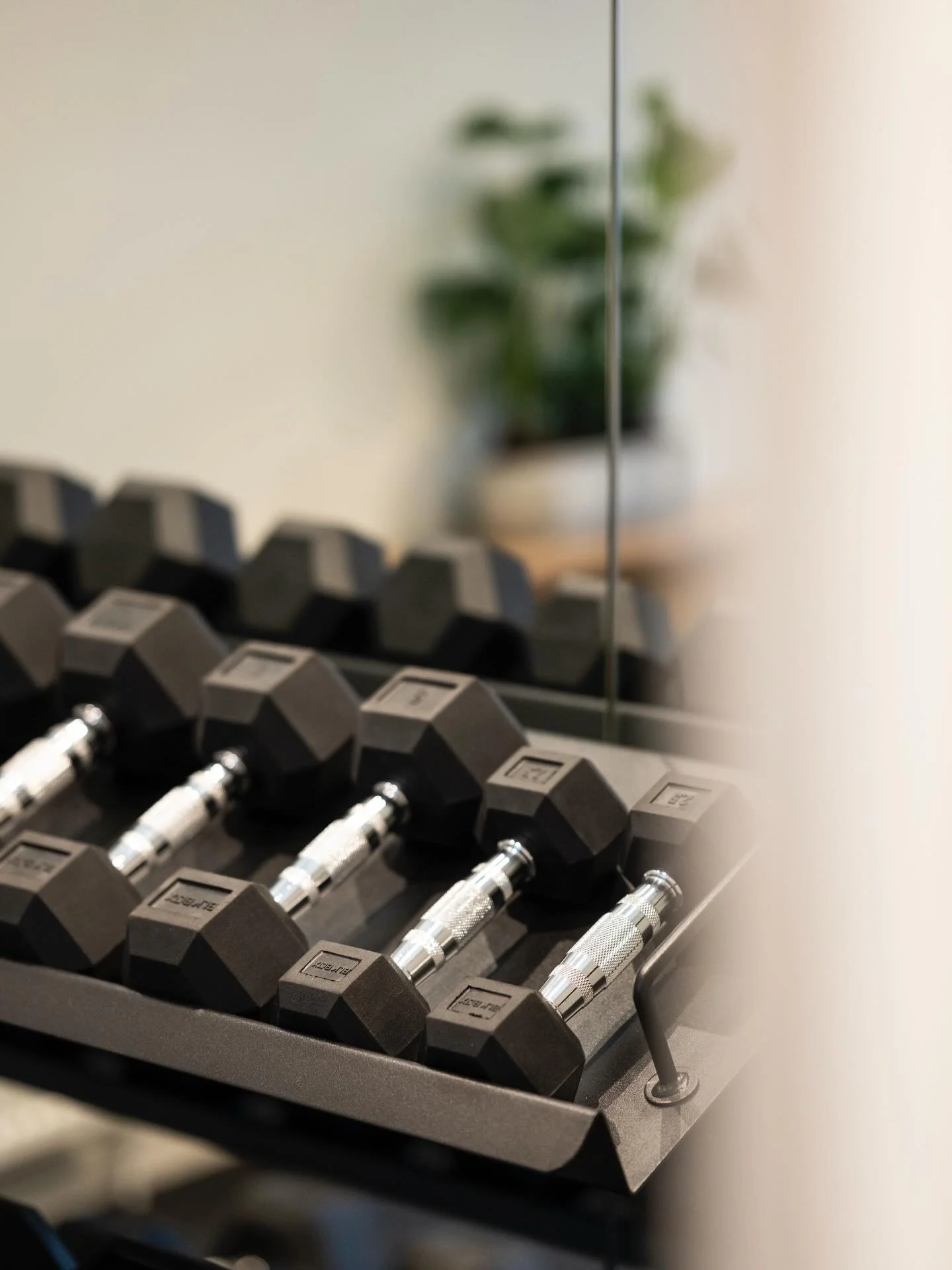 Fully equipped studios featuring free weights from 1kg to 35kg, enabling a seamless progression from rehabilitation work through to your higher-level training, all without interruption.