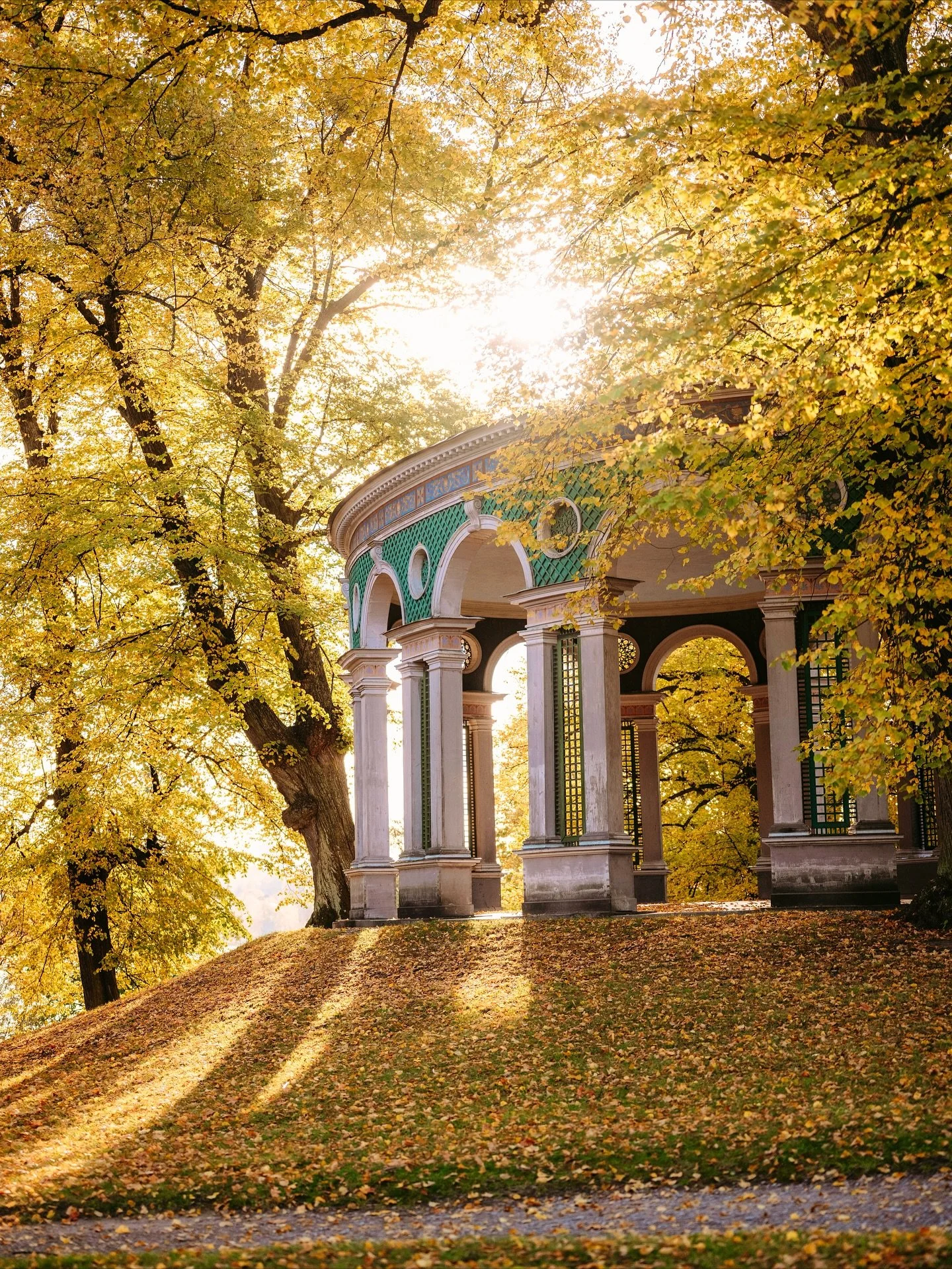 24. Såhär fint var det i Hagaparken imorse innan jag mötte upp en familj för en fotografering bland höstlöven 🍁