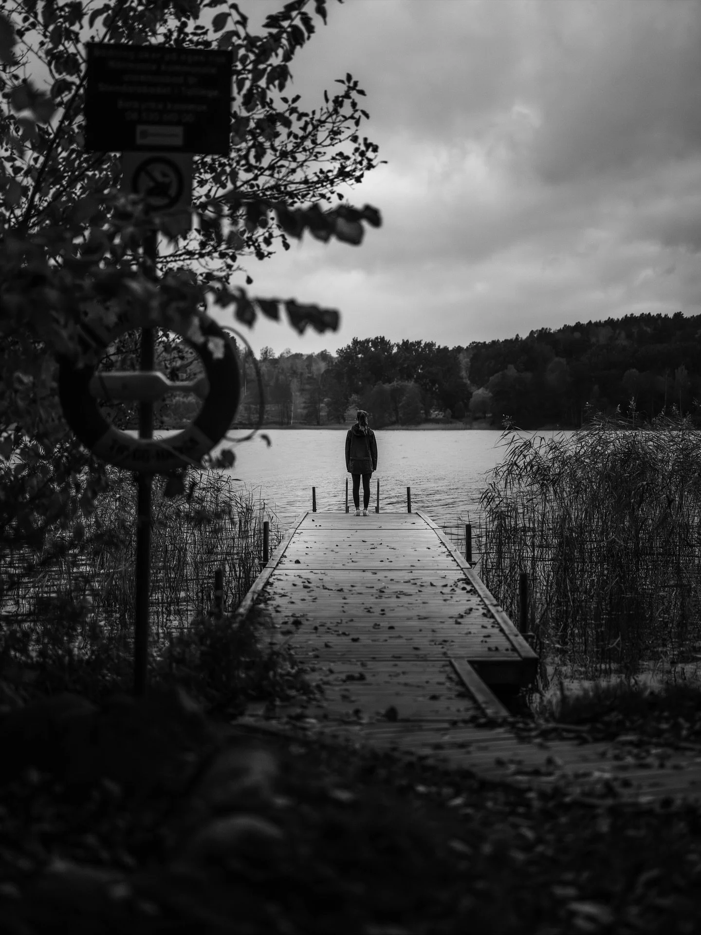 26. Gillade den inte i färg, men det är också tråkigt med svartvitt. Så delar båda 🎆