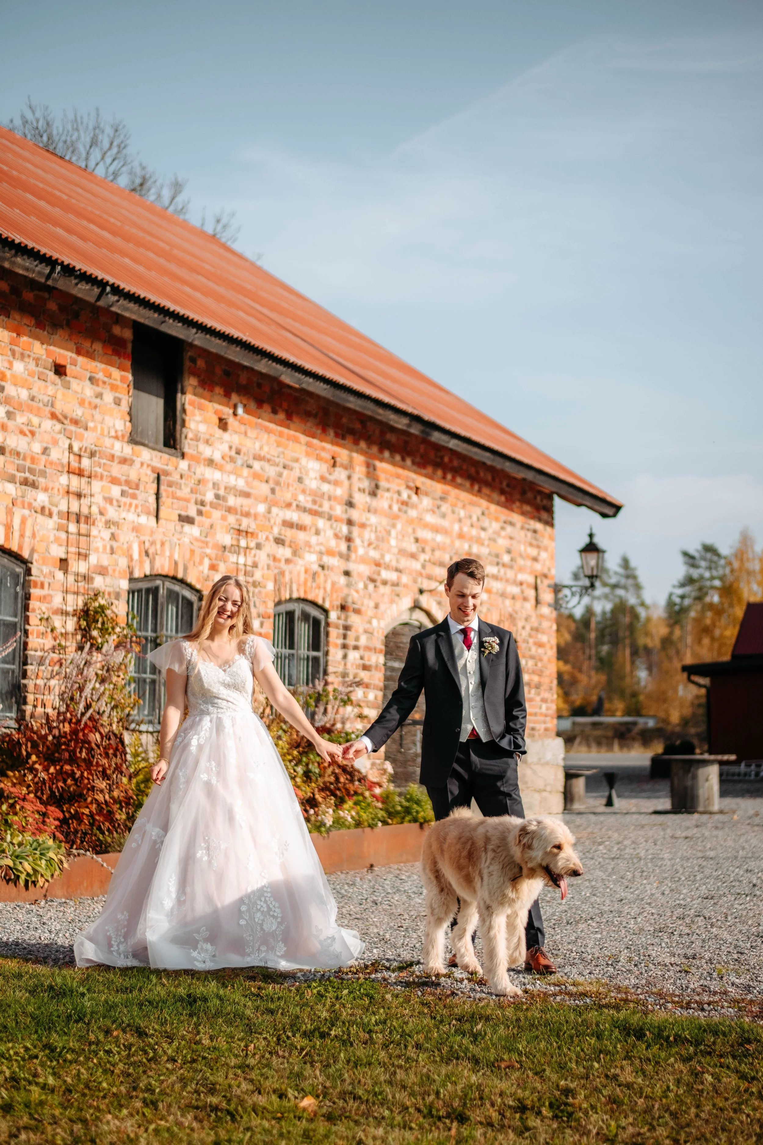 hundar på bröllop 