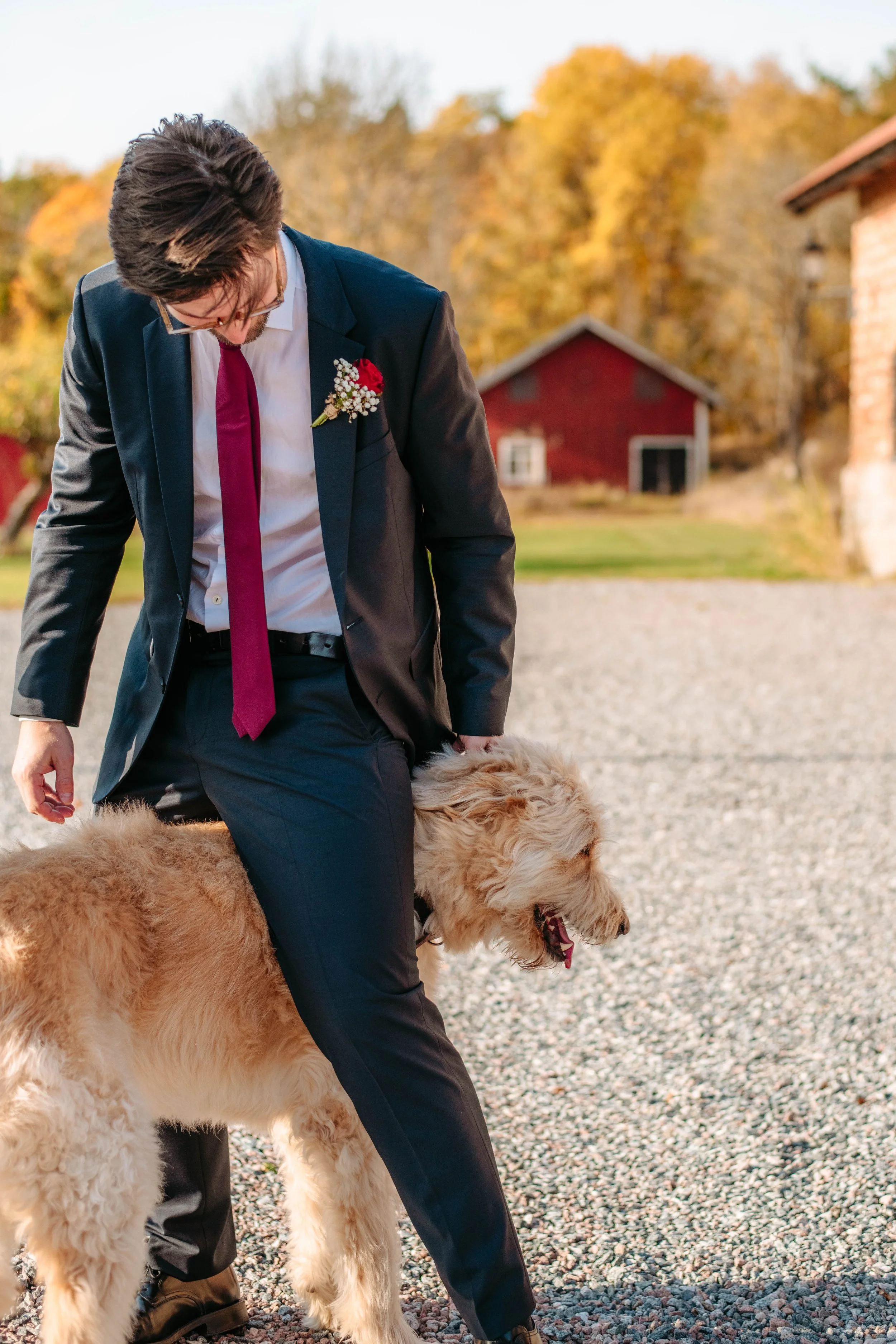 bröllopsfotografering med hund 