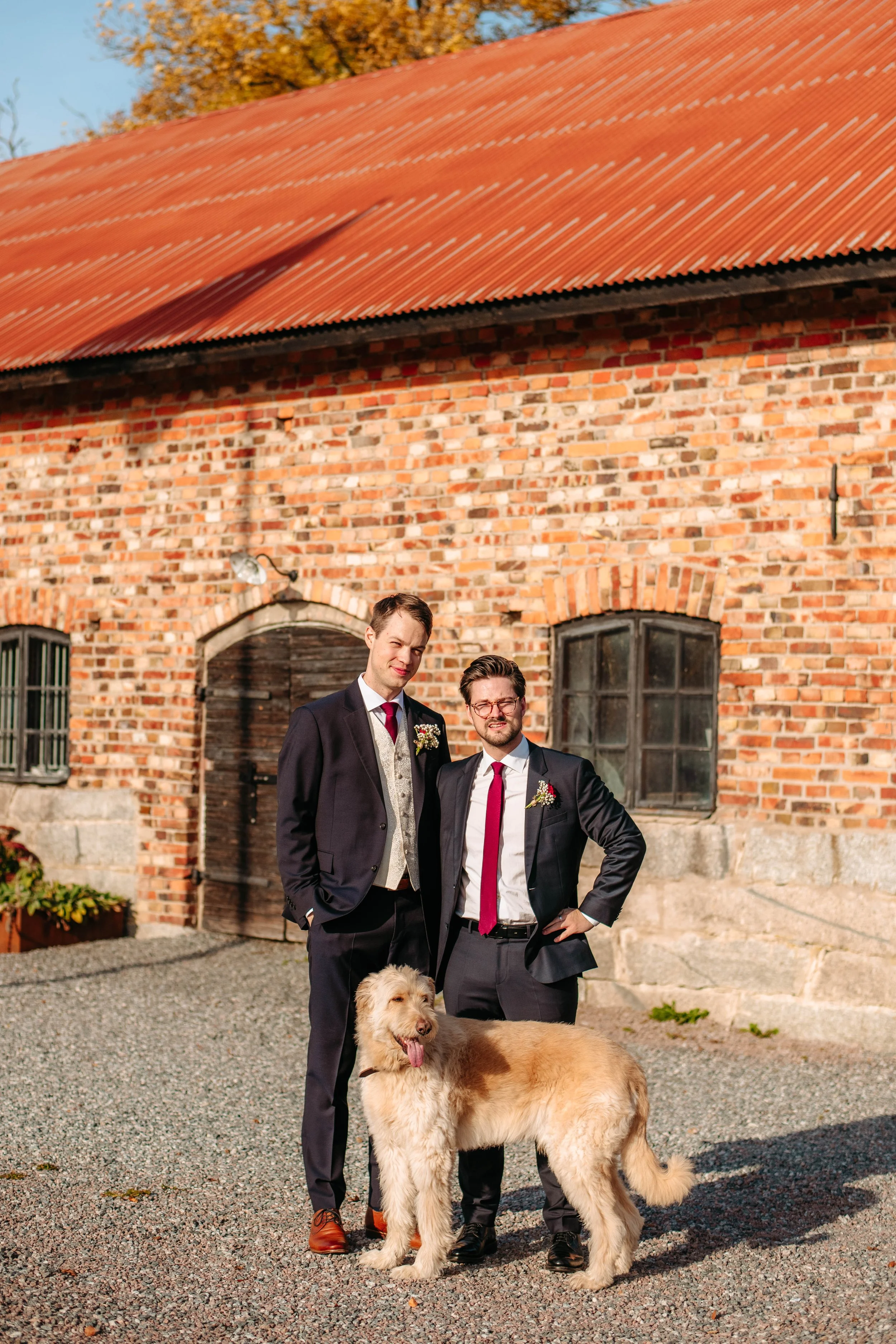 hund bröllop 