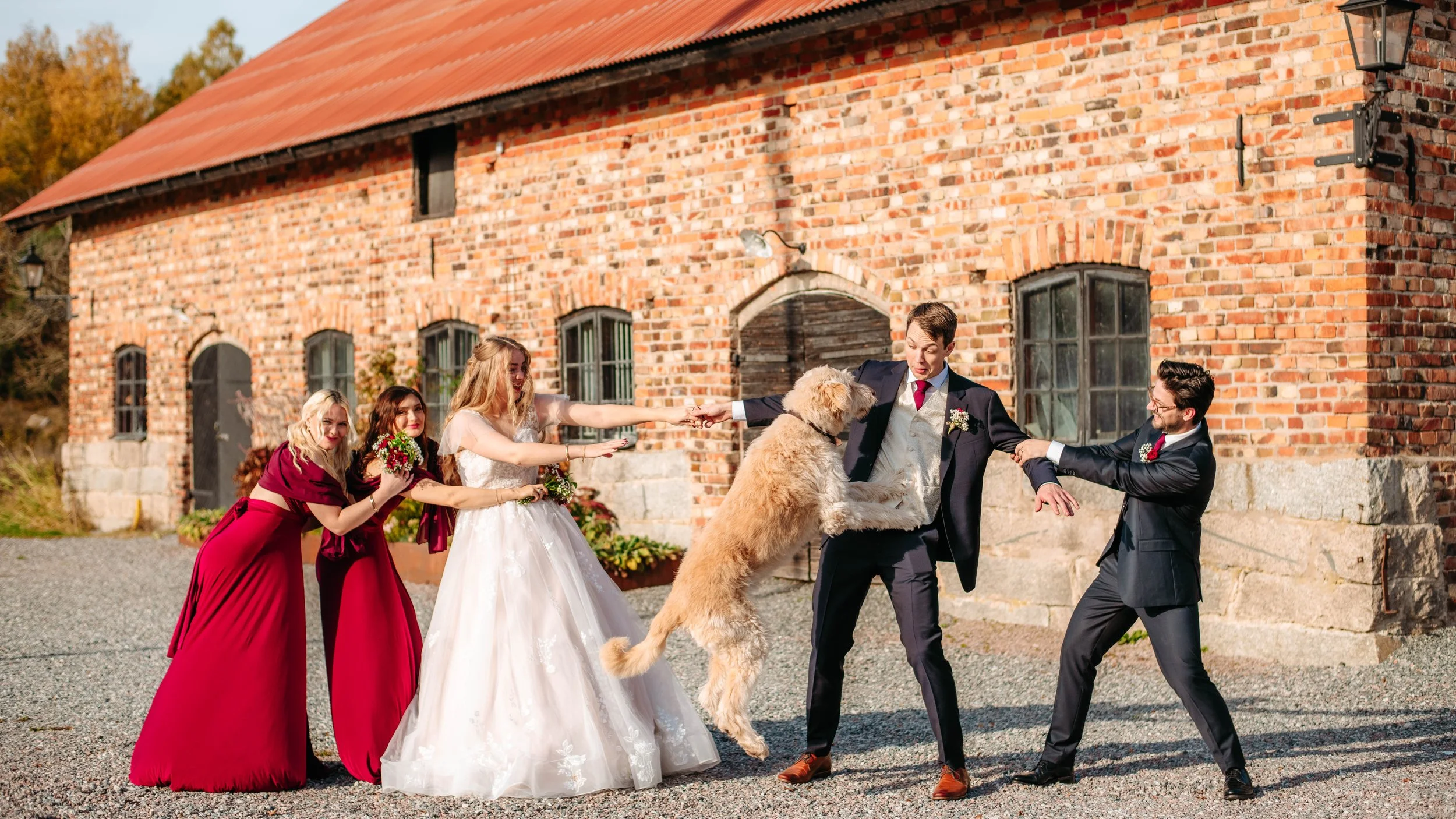 bröllop hund 