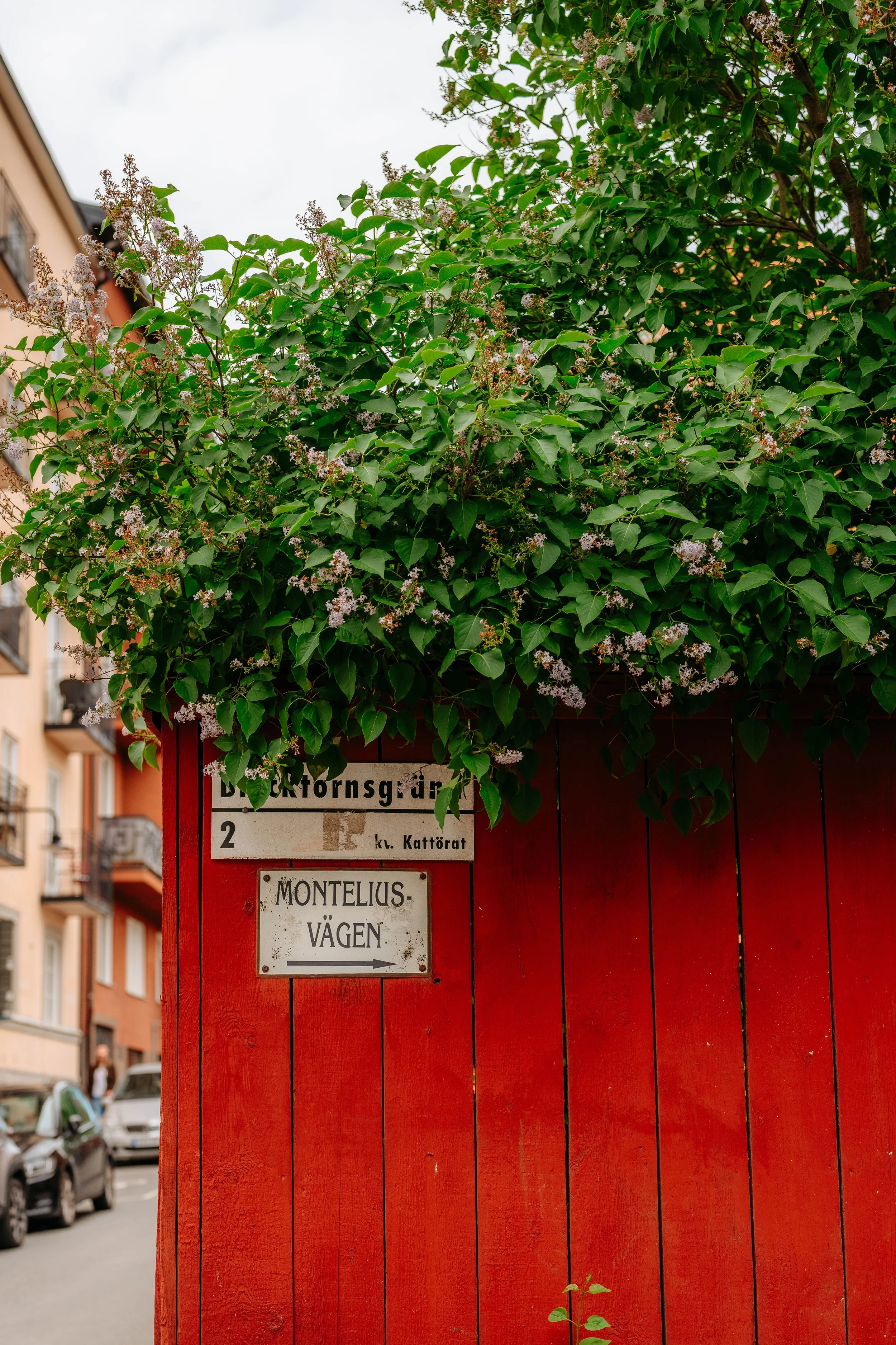 Monteliusvägen
