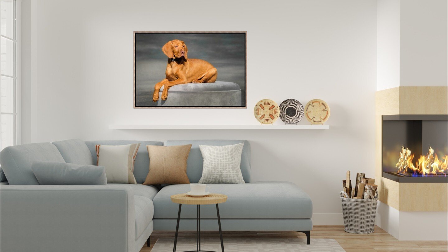Doesn't this room scream 'serene'?
(well, maybe it doesn't actually scream)
But seriously...
This room calls for a statement piece.
If you have a space in your home that needs a statement piece, you might want to consider highlighting your pup in a f