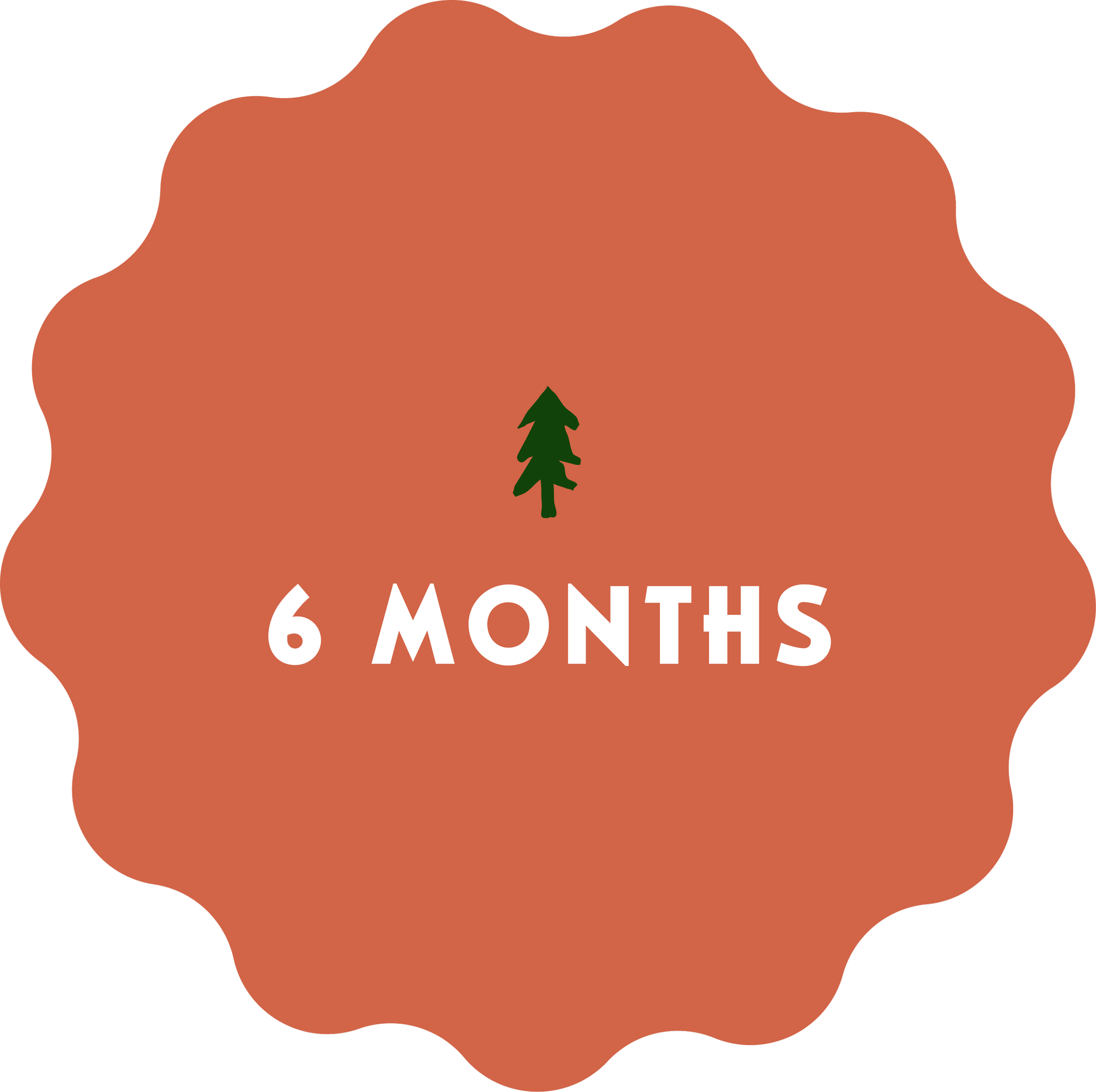 A circular badge with scalloped edges, brown background, a green tree icon at the top, and white text that reads '6 MONTHS'.