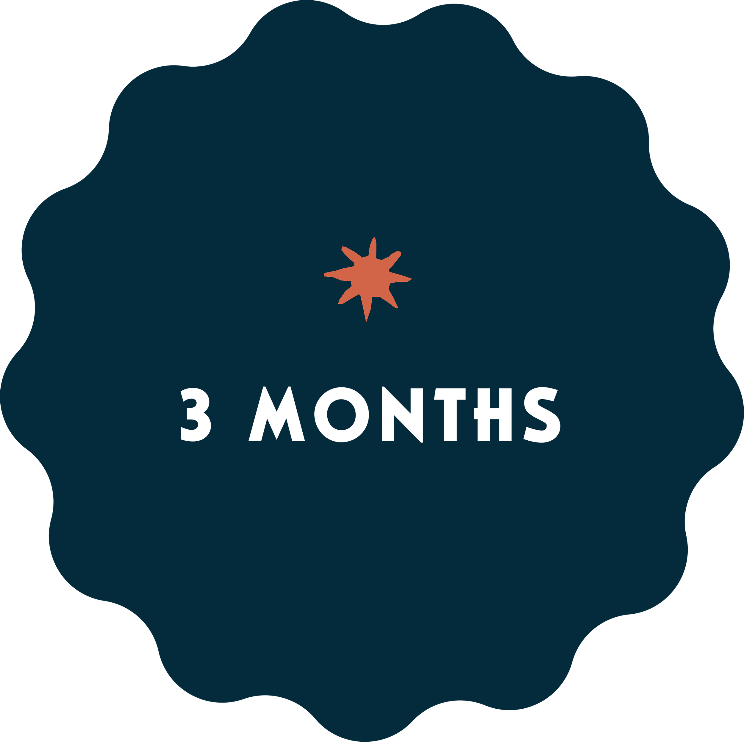 A decorative badge with a dark blue background and a central star-like symbol in a lighter shade. The text in the center reads '3 MONTHS' in white uppercase letters.