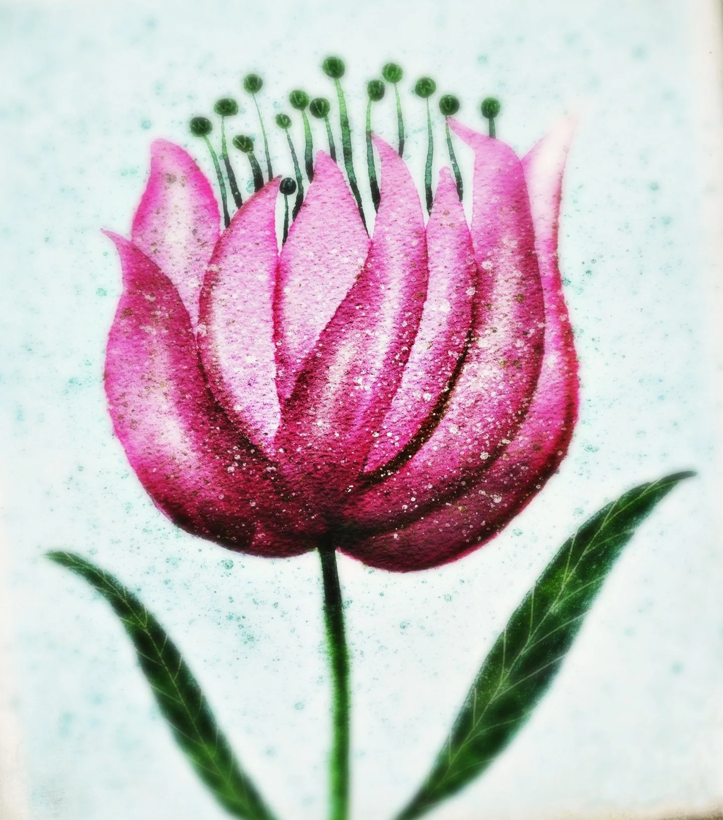 Tulip watercolour_1.jpg