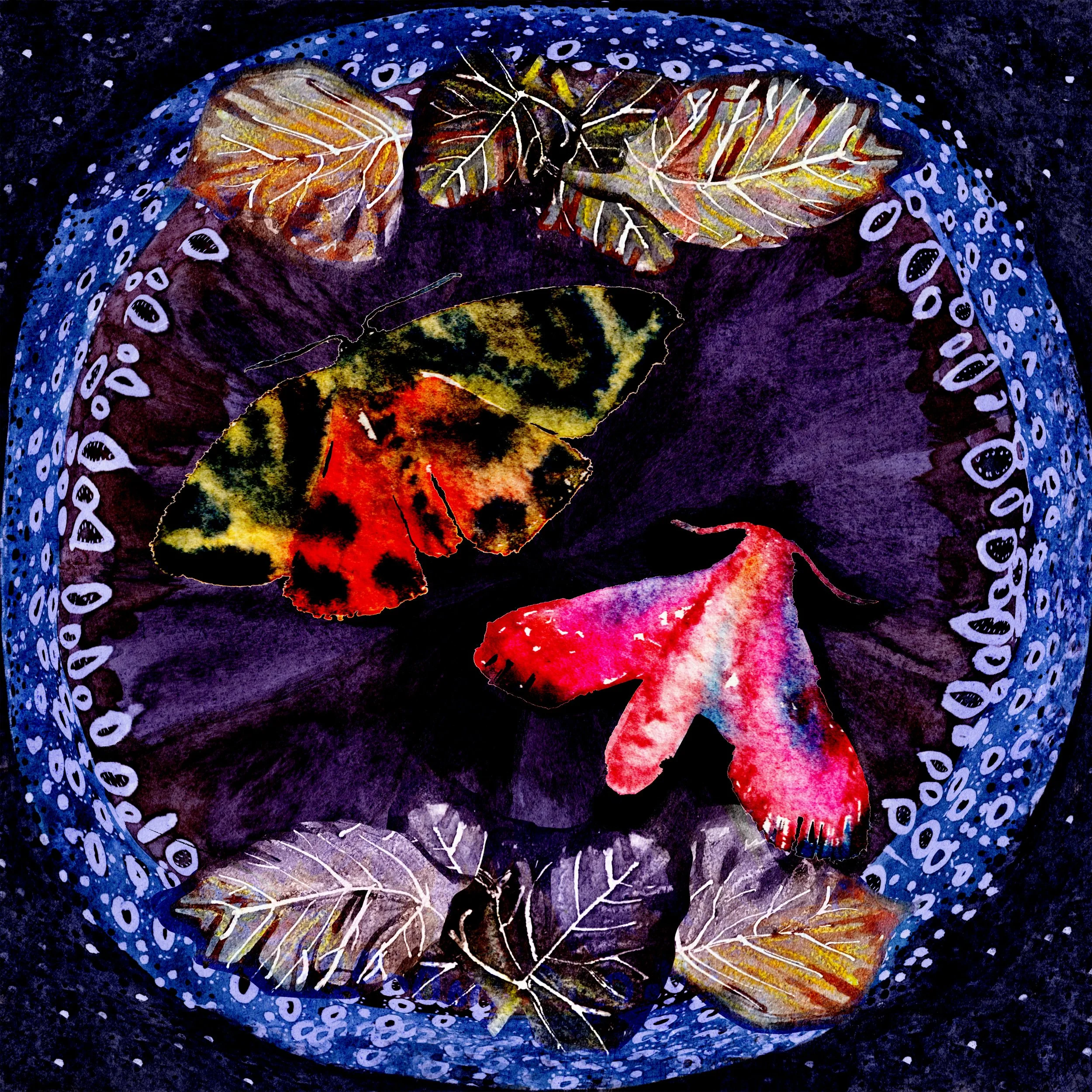 Moths_Dark_1.jpg