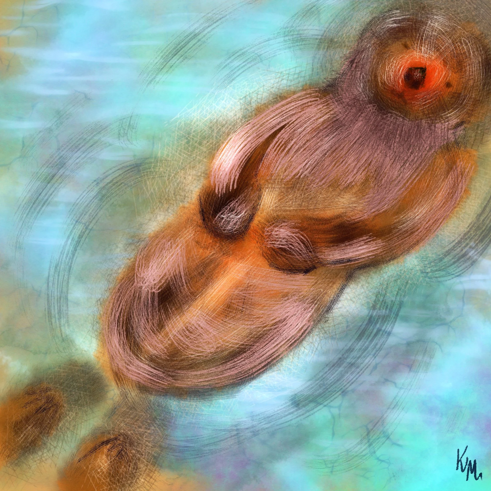 Sea_Otter_2.jpg
