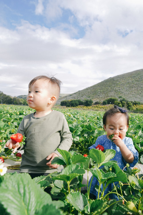 christinehan-dearsaturdays-strawberryfields-8.jpeg