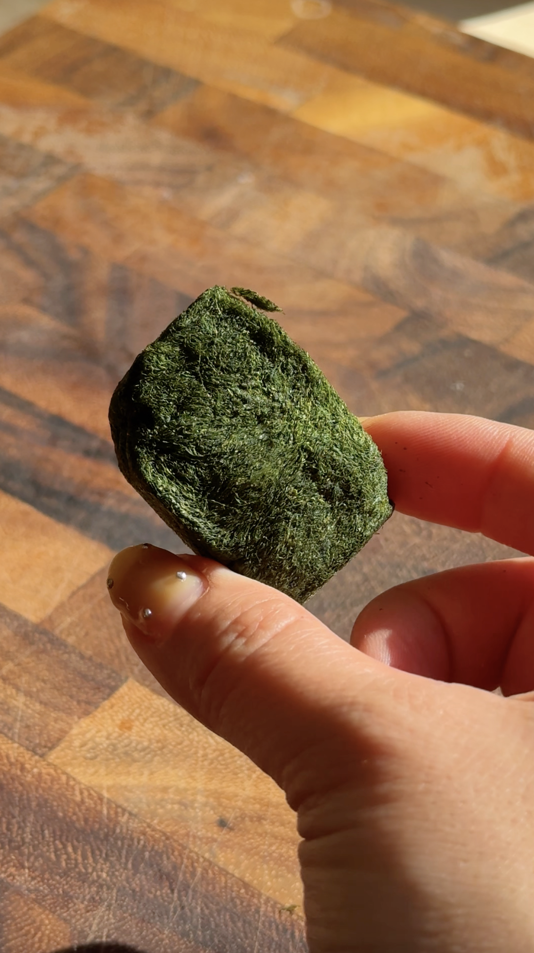 A hand holding a small, compressed square brick of dried dark green maesaengi seaweed over a wooden surface.