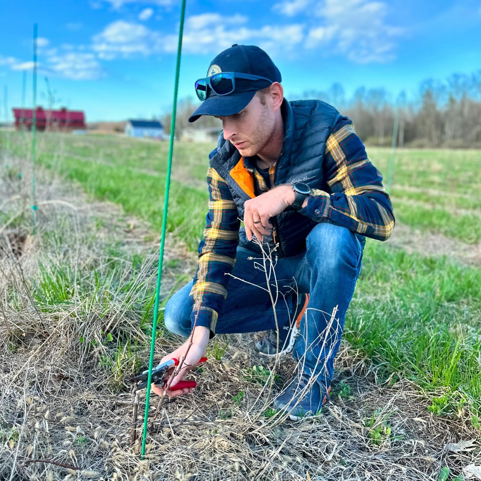 In the midst of bottling and preparing for &ldquo;the season,&rdquo; there&rsquo;s work to do in the vineyard. Pruning is especially important now as we begin to shape our young vines into strong, hardy plants. 

#vineyard #vineyardwork #pruning #col