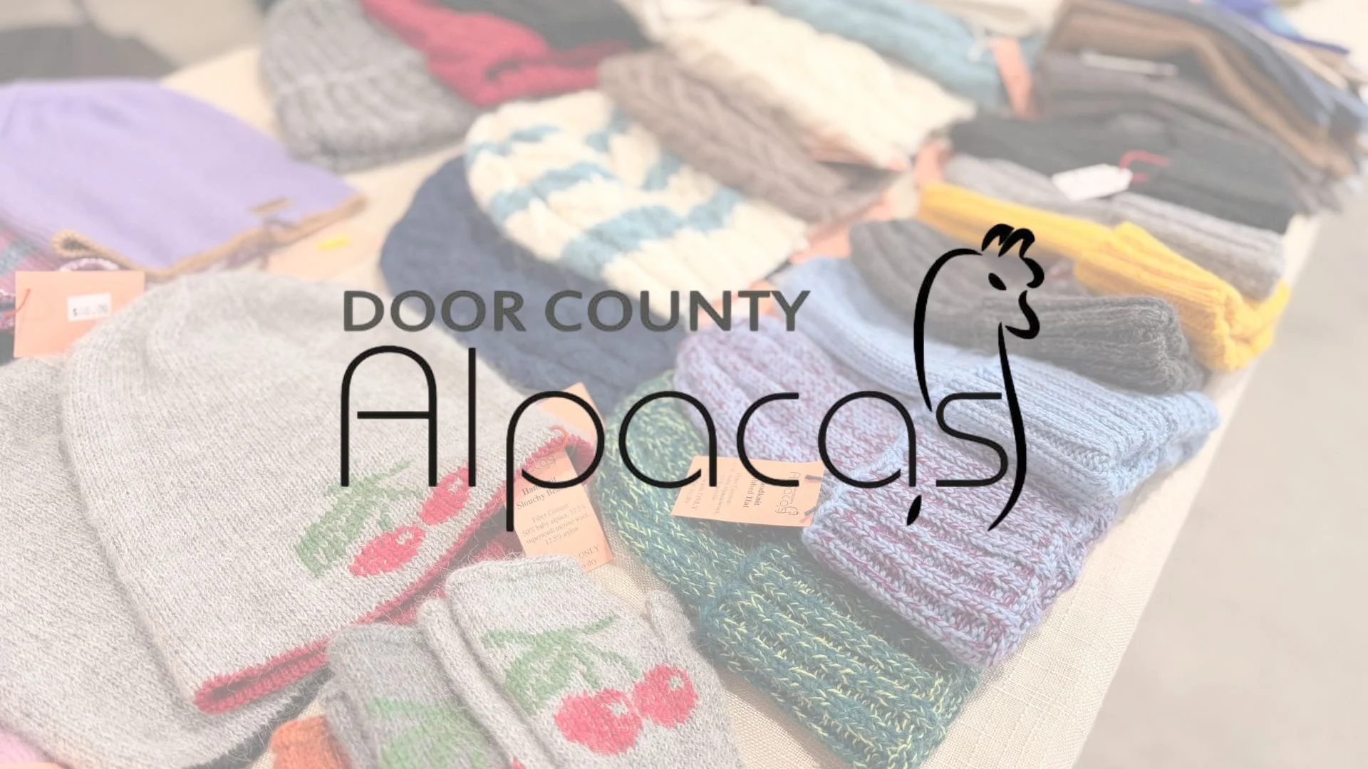 Pop-Up Shop: Door County Alpacas