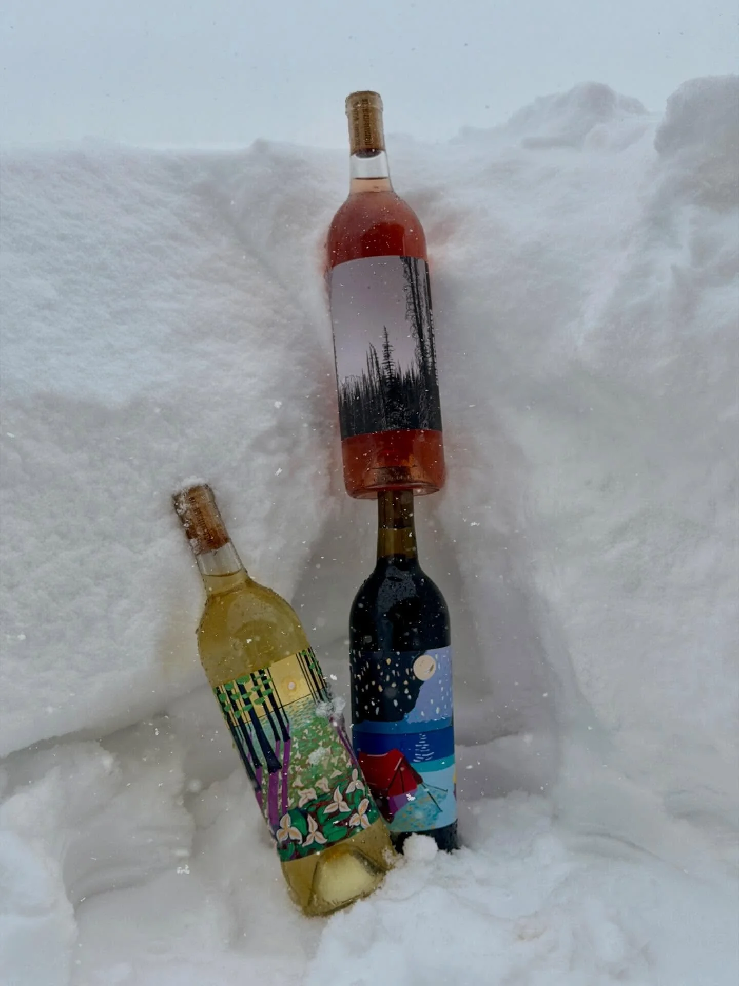 That&rsquo;s 24&rdquo; and counting ❄️

#wisconsinwine #wisconsinledgeava #wisconsinwinter #snowday #cheers

@doorcountywinetrail @eggharbordoorcounty @carlsvilledoorcounty