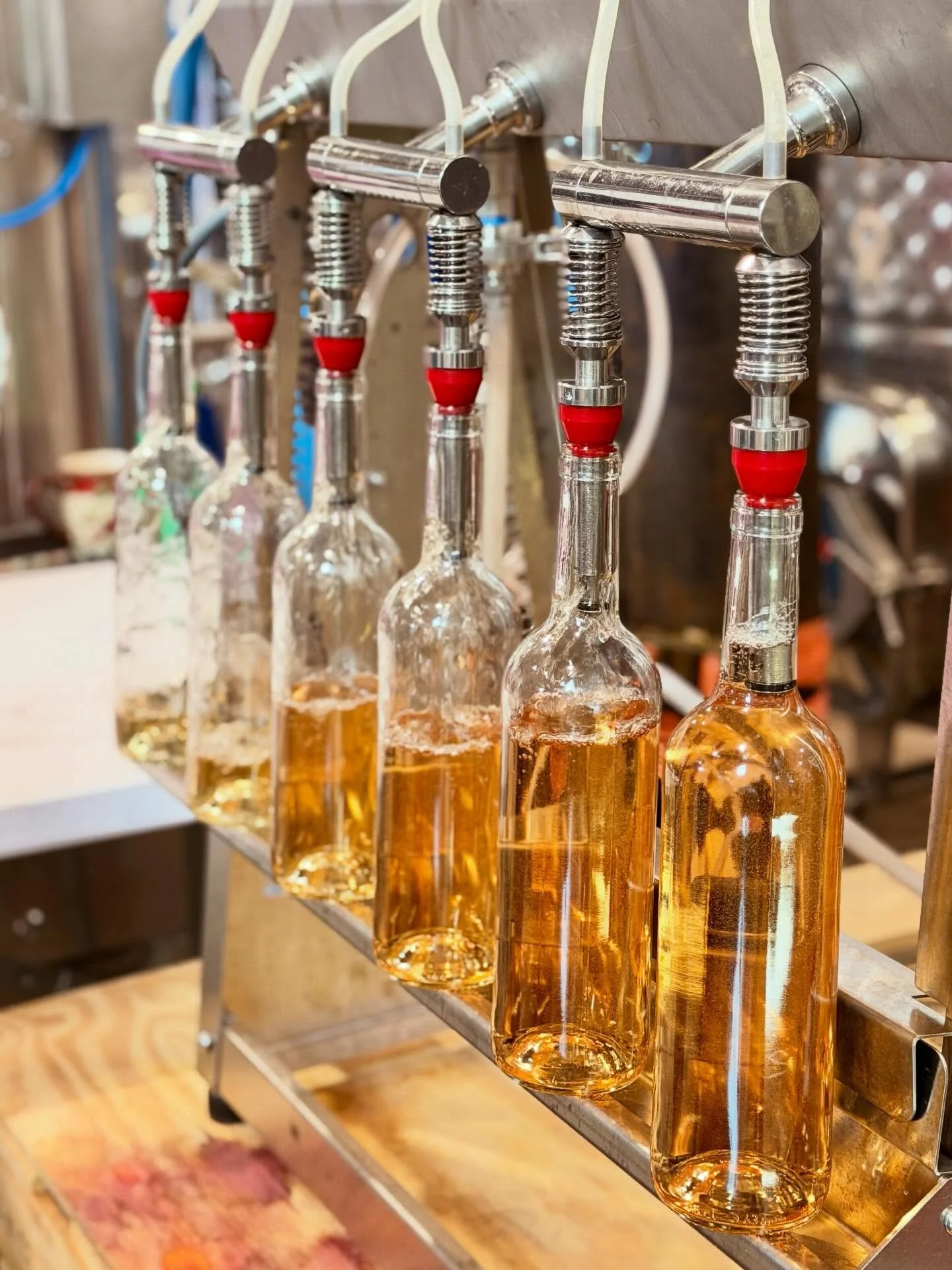 Is there anything so simply satisfying as seeing wine bottles fill?

➡️ Realistically? Yes, lots of things. 

But today it&rsquo;s my happy place 🥂

#happyplace #wisconsinwine #wisconsinledgeava #doorcounty #wisconsingrapegrowers

@doorcountywinetra