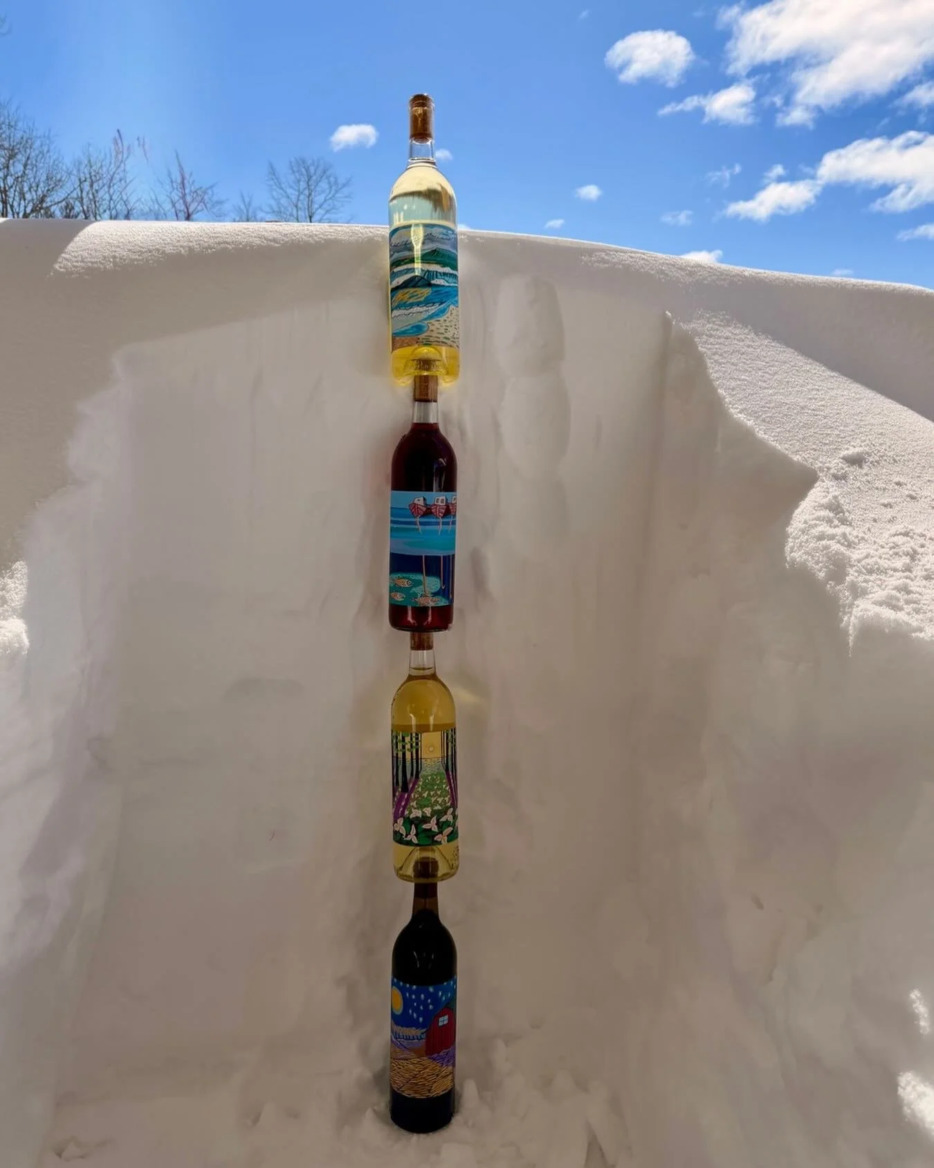Snow gauge saw up to 39&rdquo; in some areas 🍷🍷🍷🍷❄️📏

#doorcounty #wisconsinwine #wisconsinledgeava #anchoredrootswine #cheers

@doorcountywinetrail @doorcountywinefest @eggharbordoorcounty @carlsvilledoorcounty 

Bottle art 🎨 @andreanaylorartw