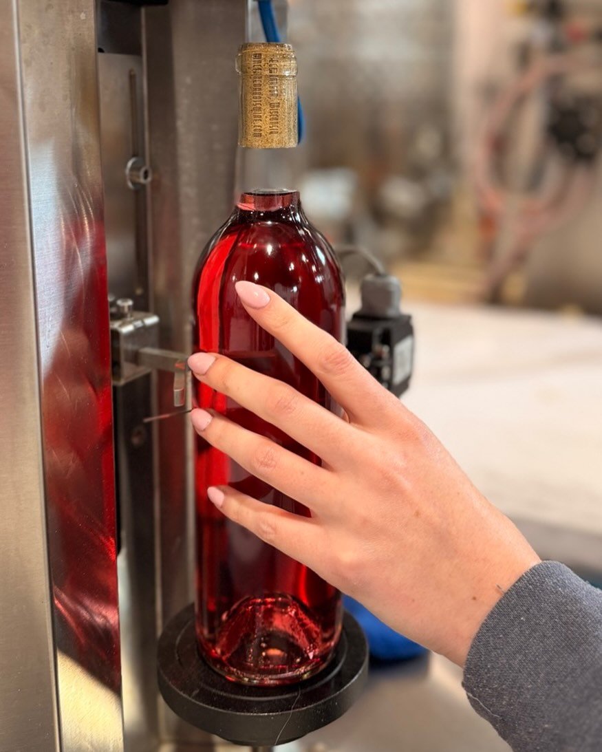 Ros&eacute; all day! 🍷 And when it comes to the bottling line, we mean ALL day. 

But check out the color of this Glacial Ledge ✨🌹✨ Intense pigmentation from our Petite Pearl grapes means a stunning pink wine in your glass. 

#ros&eacute;allday #wi