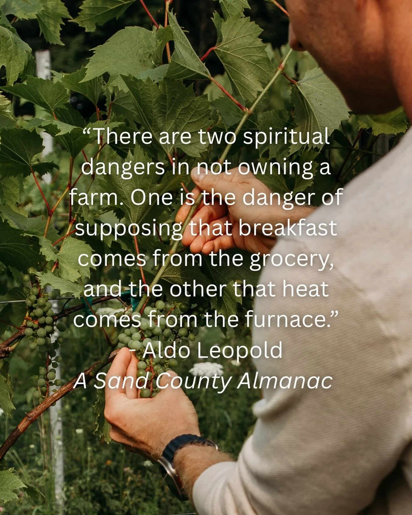 Do you know where your wine comes from? 🗺️ We do. 

And we&rsquo;d love to show you! 🍇  See our estate vines, learn about the vineyards we source from, walk through the production process, and experience our wines firsthand with our winemaker.

WIN