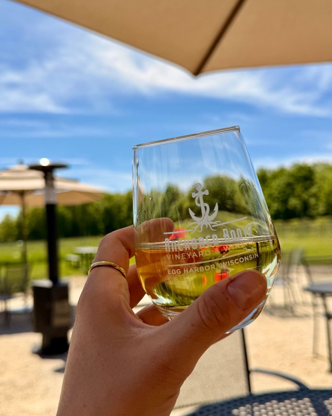 Cheers to patio season! 🍷⛱️☀️ Soak up the sun or bask in the shade Wednesday-Monday 11a-5p

✨Extended hours on Fridays now through July 4th until 7p!

#patiosipping #wisconsinwine #doorcounty #wisconsingrapegrowers #cheers

@doorcountywinetrail @egg