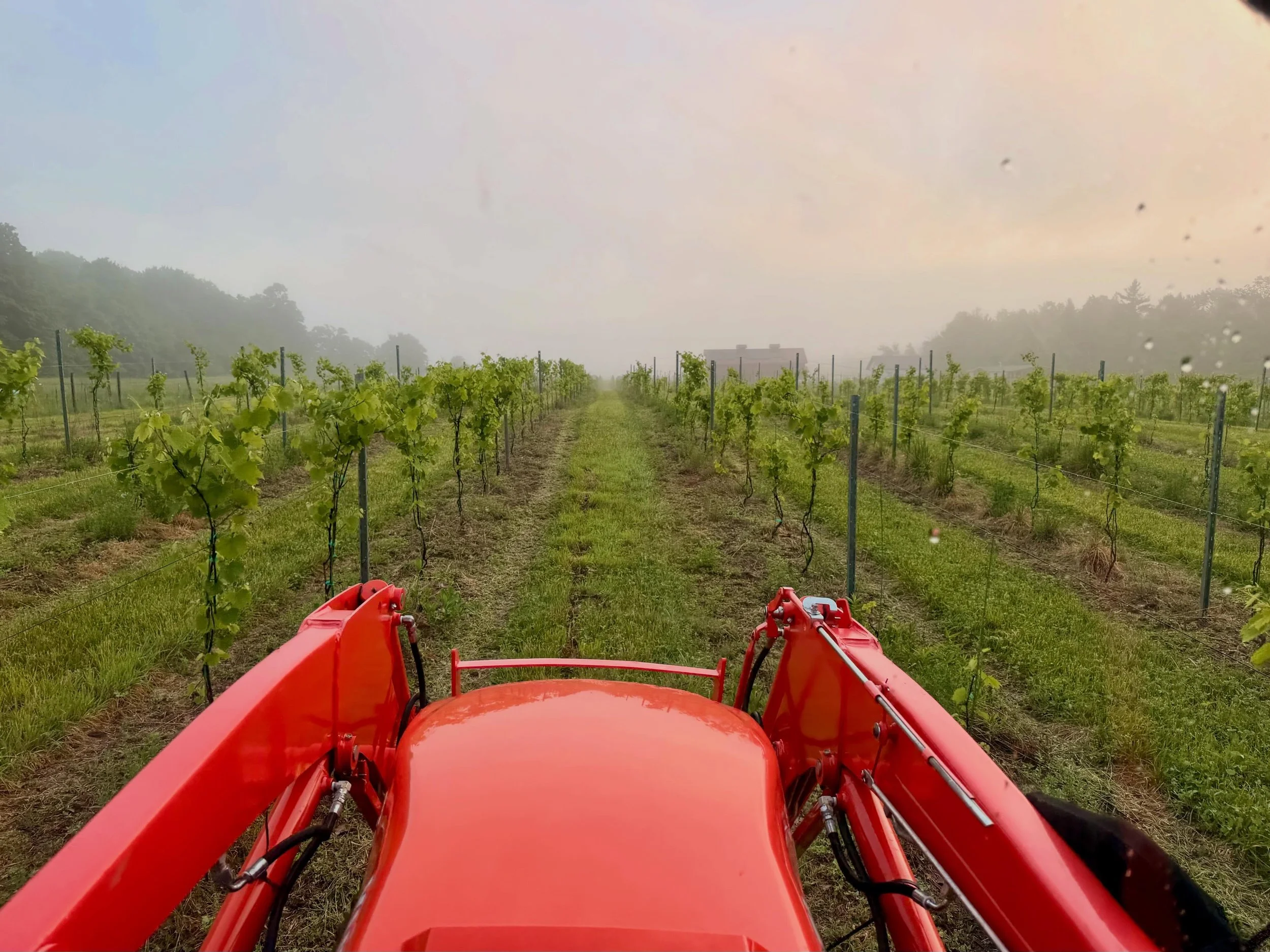 Early morning vineyard work before the storms set in 🌅

#wisconsingrapegrowers #wisconsinledgeava #doorcounty #wisconsinwine #cheers