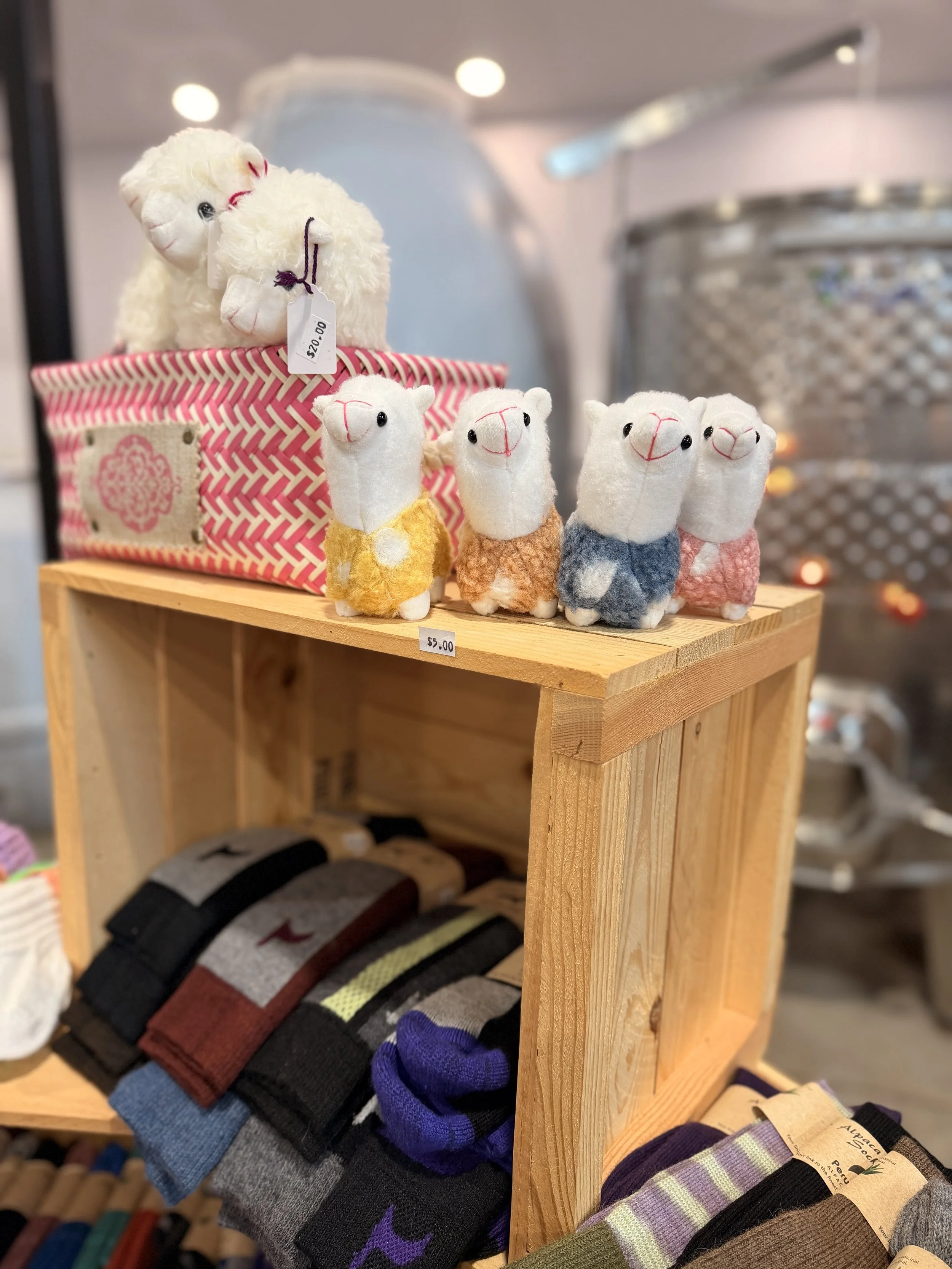 IMG_9321.jpg