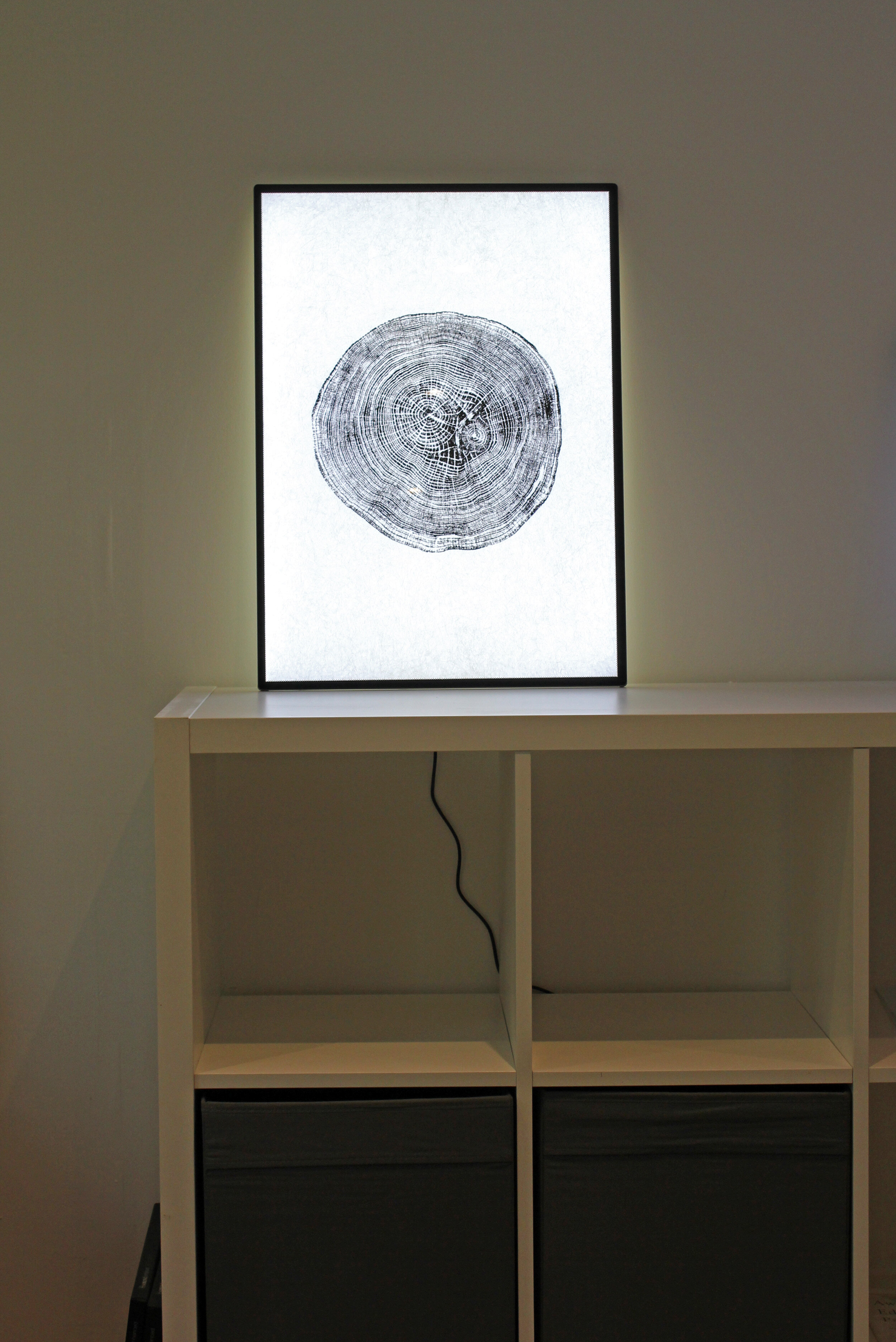 Visibull A2 Light Box tree print on shelf.jpg
