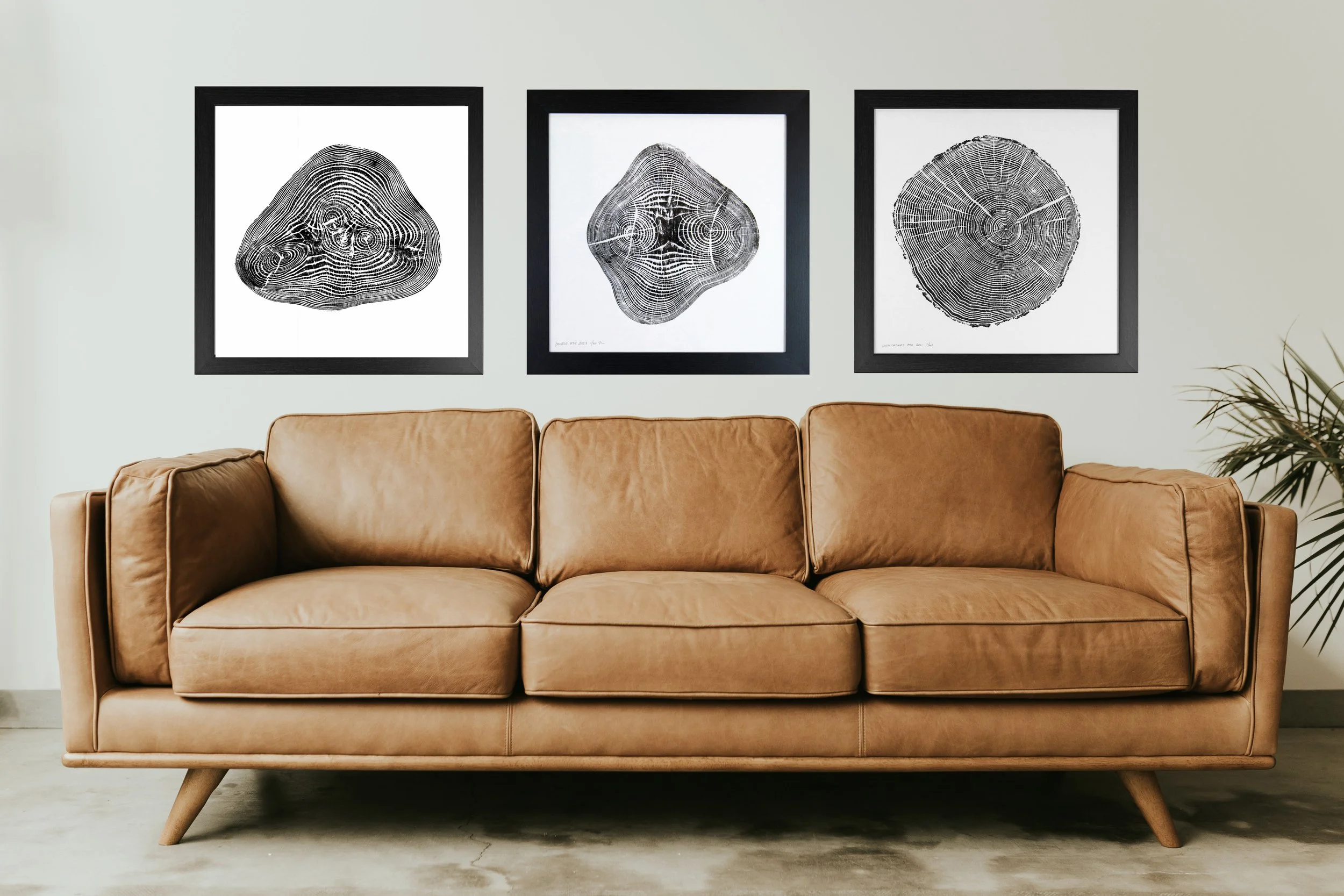 sofa with ash.jpg