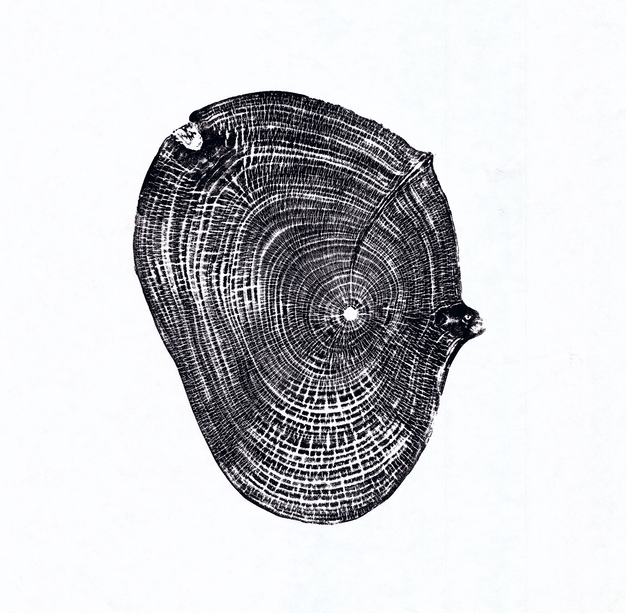 Walnut-black-WEB.gif