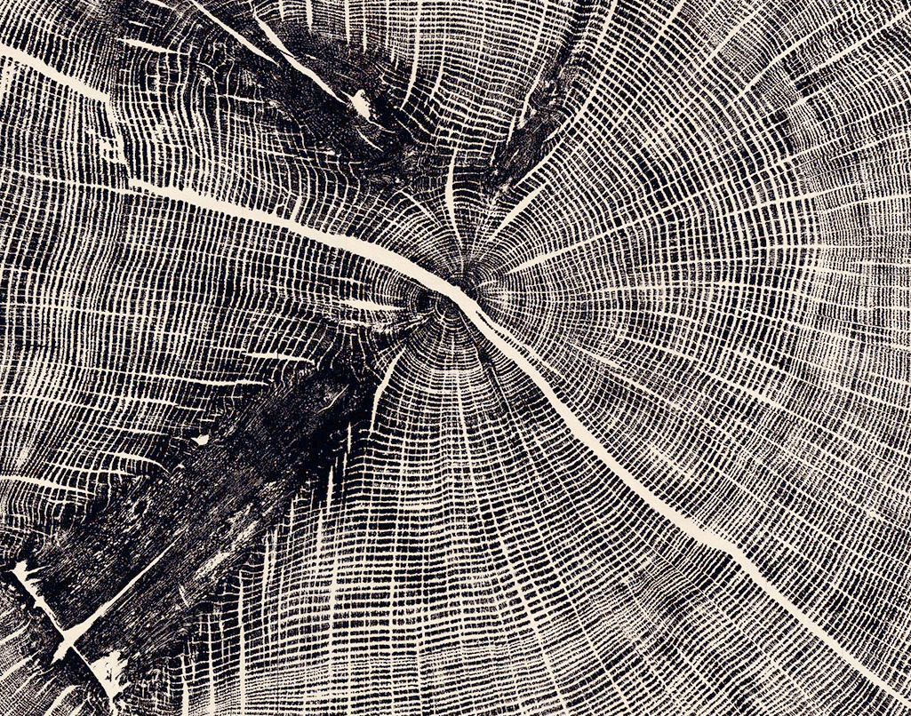 Hunt-end-oak-detail-12.gif