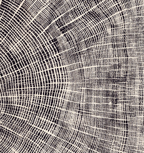 Hunt-End-Oak-WEB-detail-32.gif