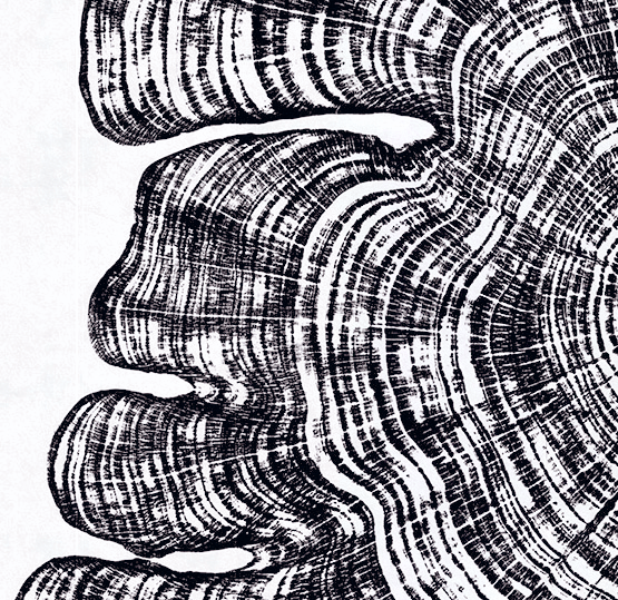 Island-black-WEB-DETAIL-12.gif
