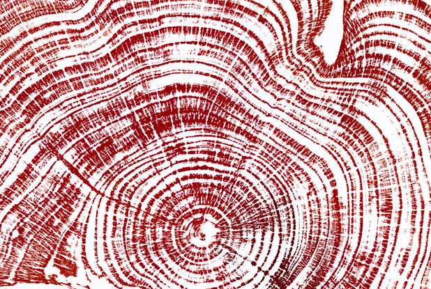 Autumn-waves-WEB-detail-22.gif