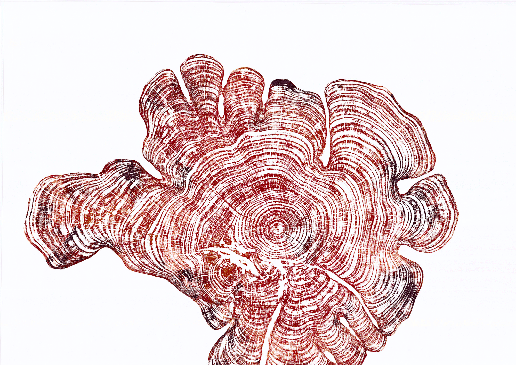 Autumn-waves-WEB-HORIZ2.gif