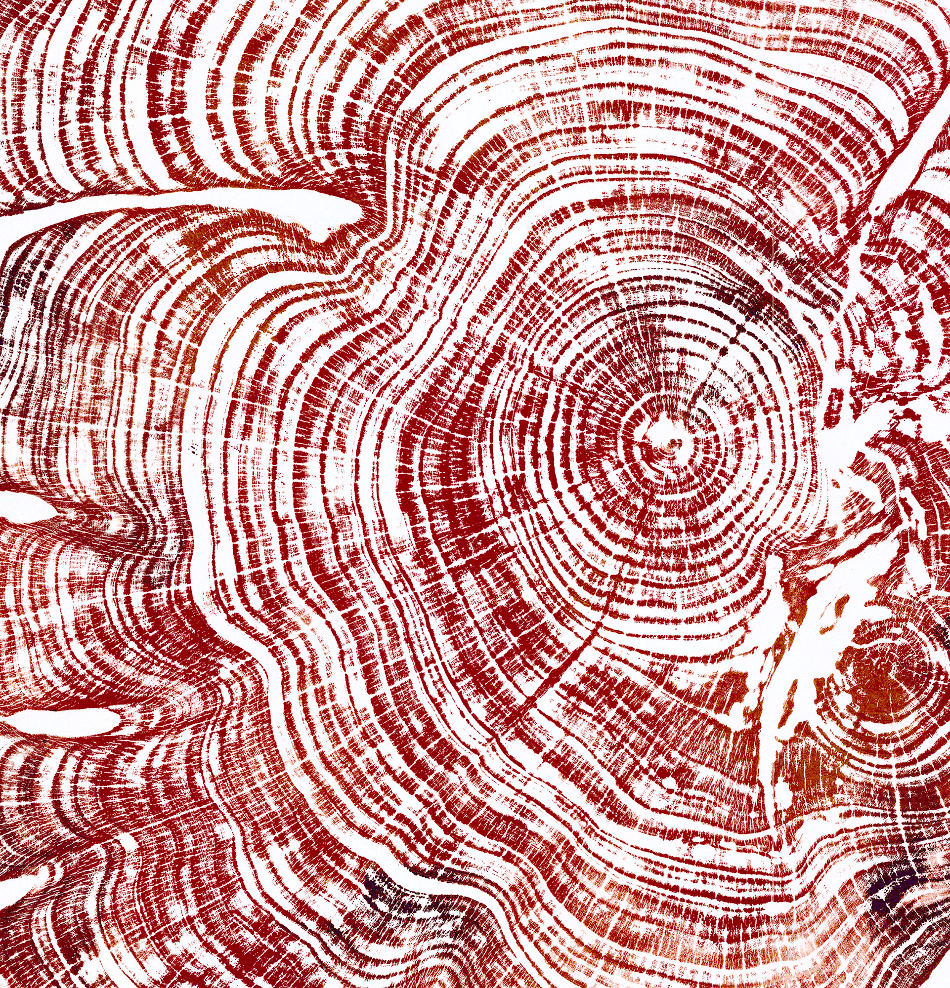Island-Autumnal-WEB-detail-32.gif
