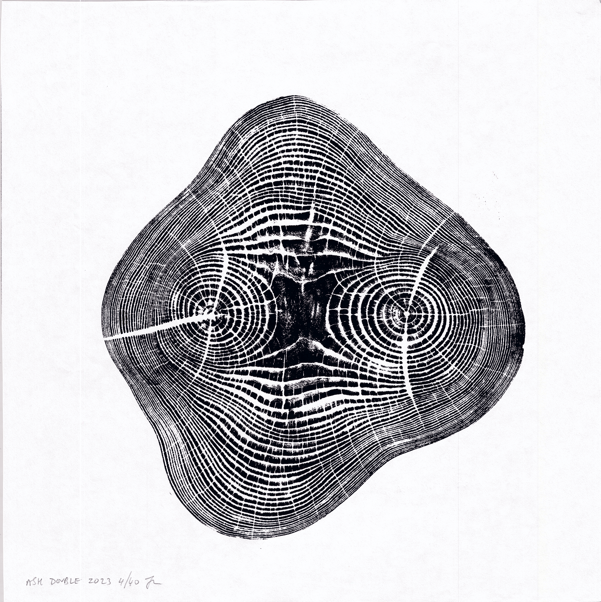 Ash-Twin-WEB2.gif