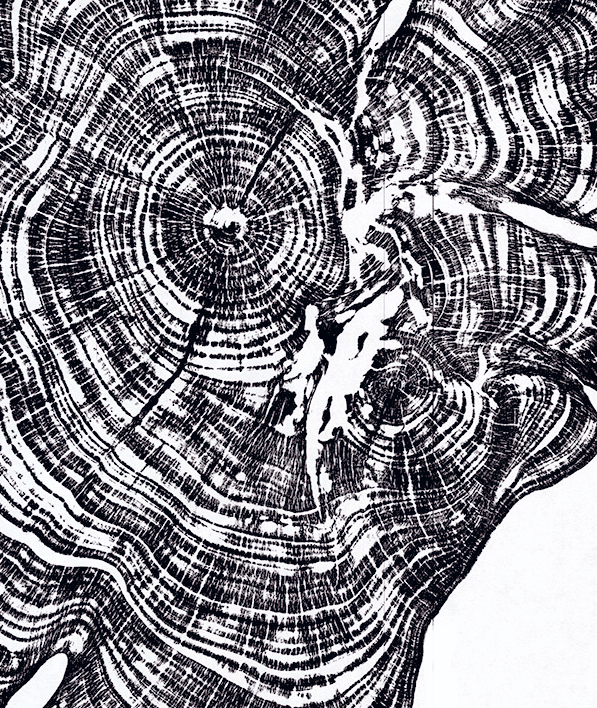 Island-black-WEB-DETAIL-22.gif