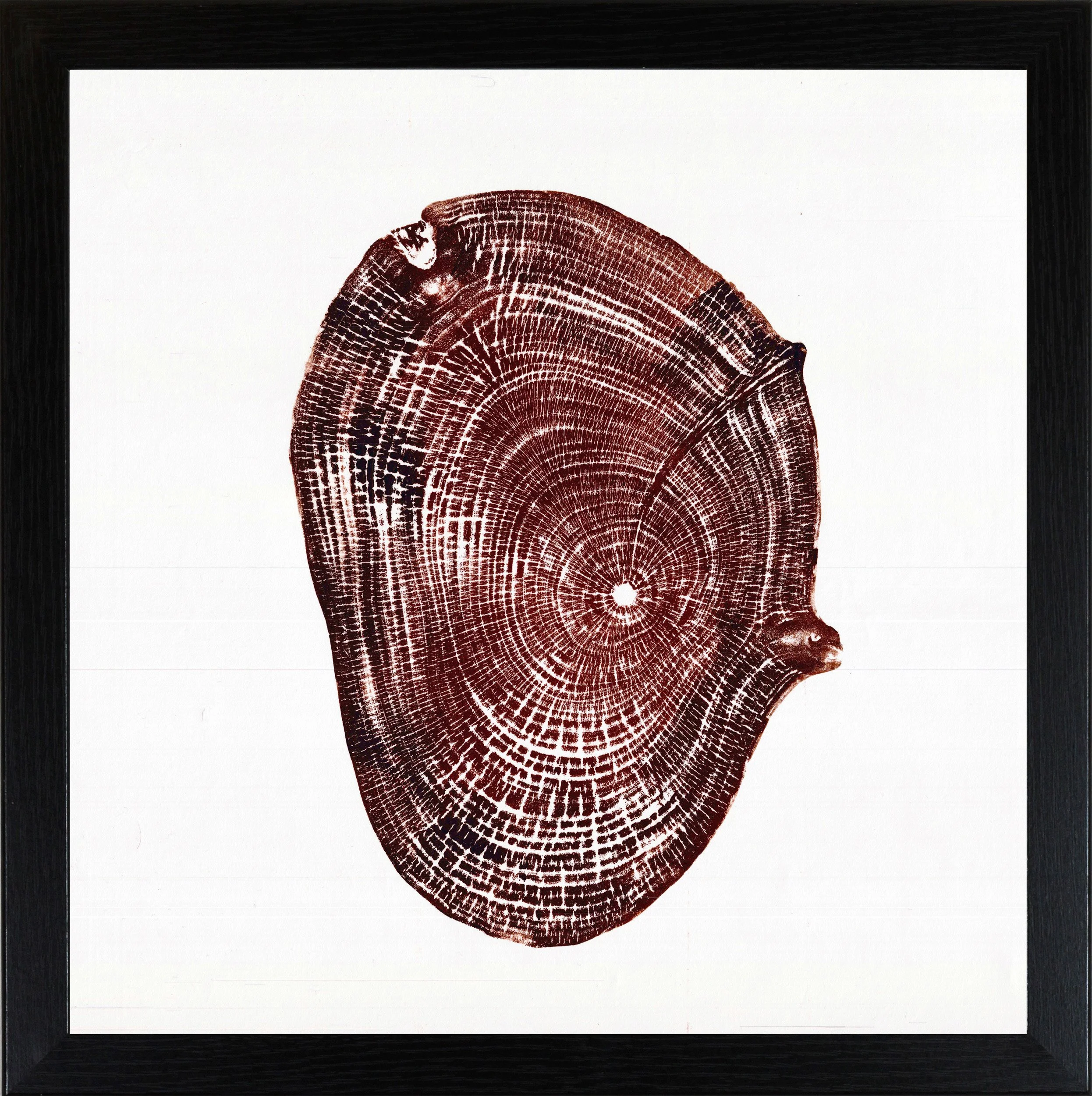 autumnal walnut framed.jpg