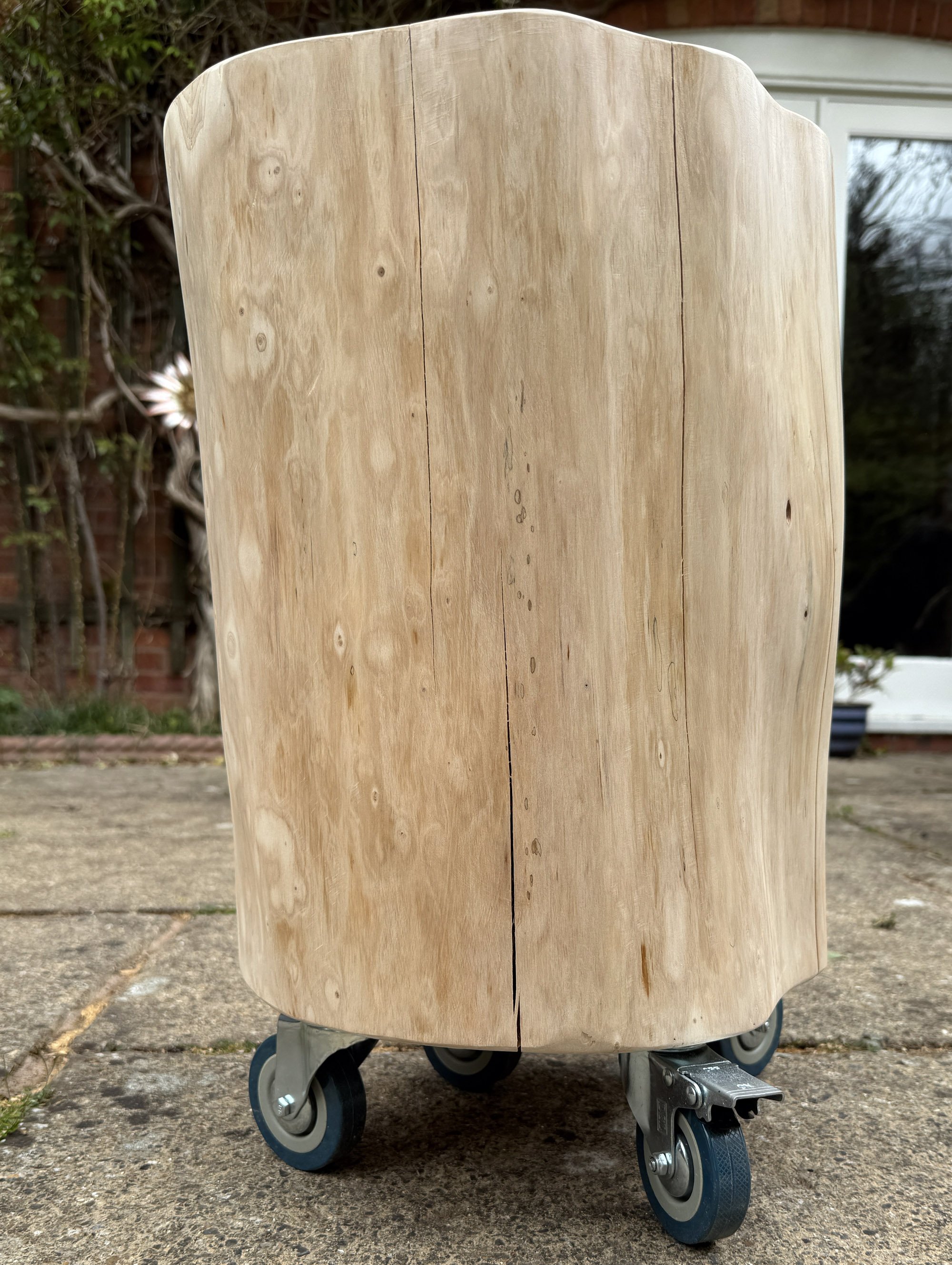 side view.jpg