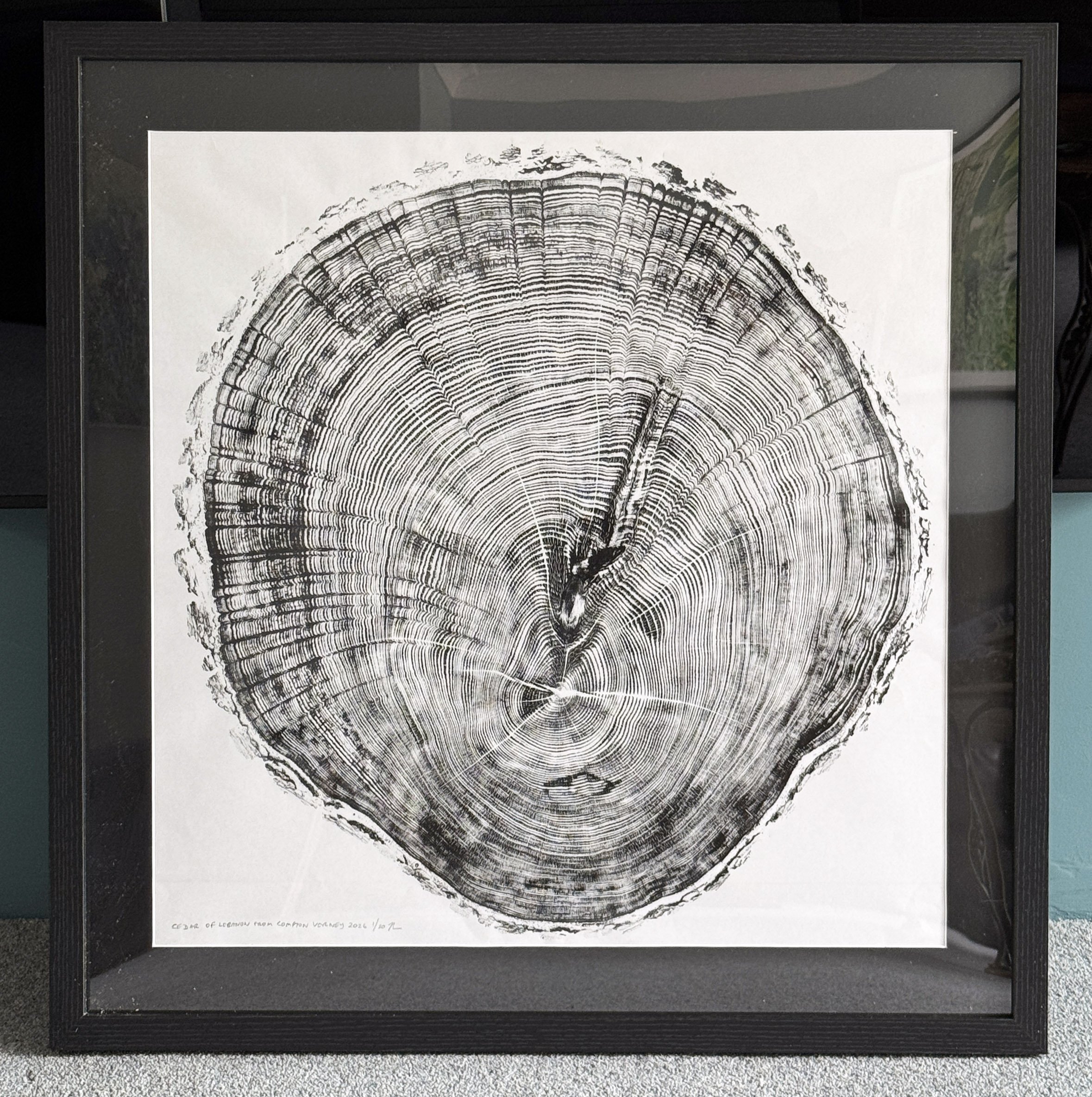 CV Cedar of Lebanon Framed 2.jpg