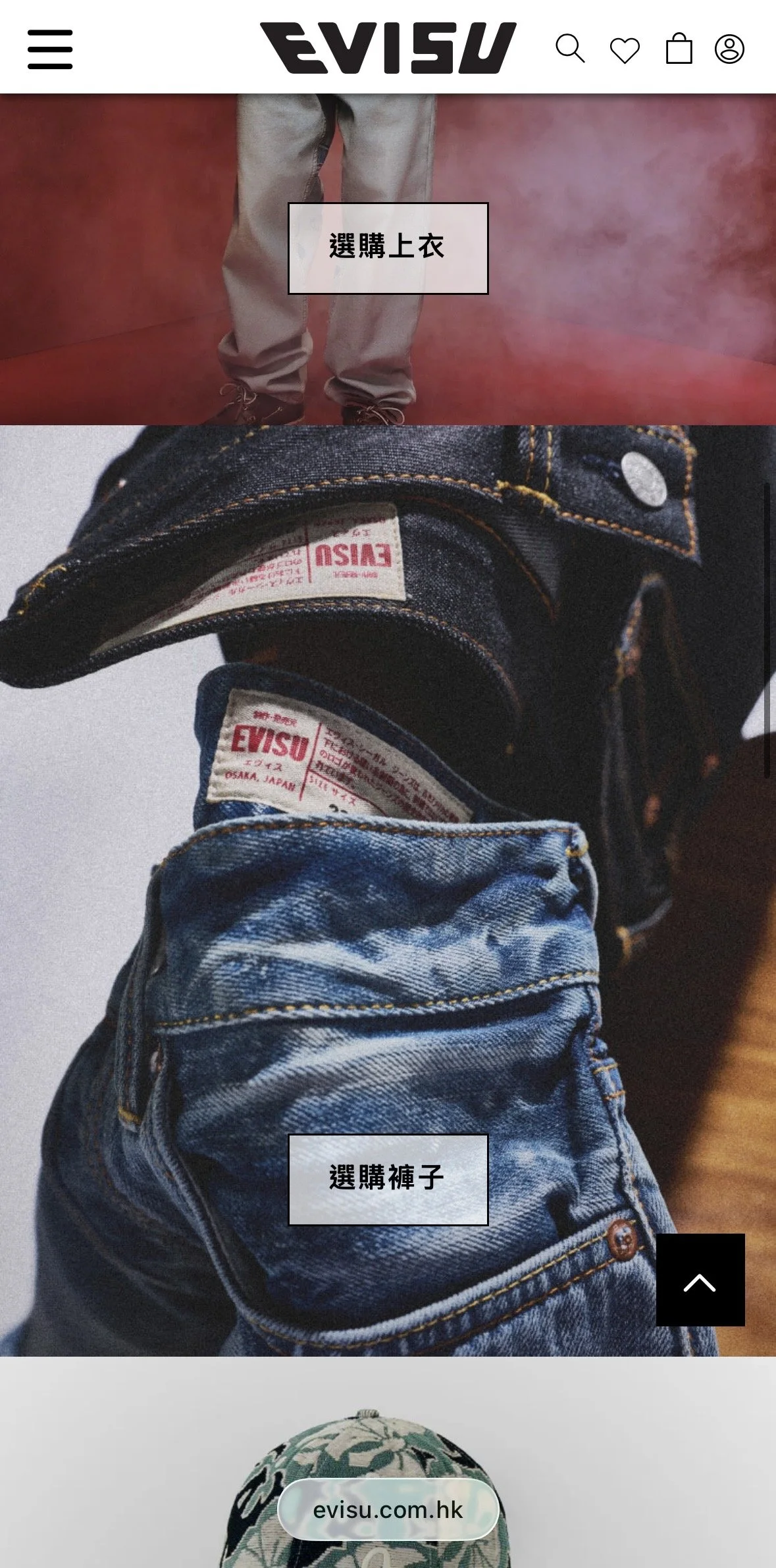 Evisu