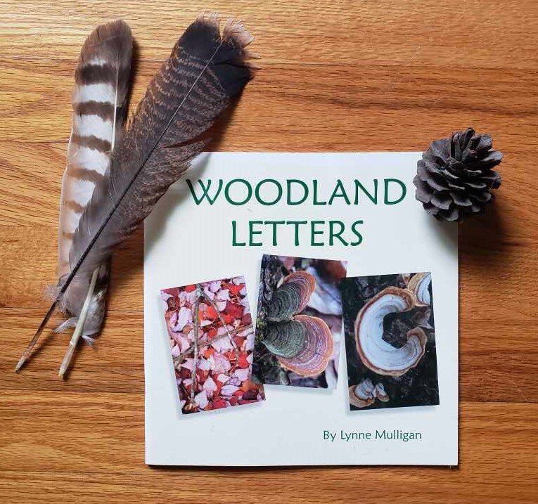Woodland Letters book cover.jpeg