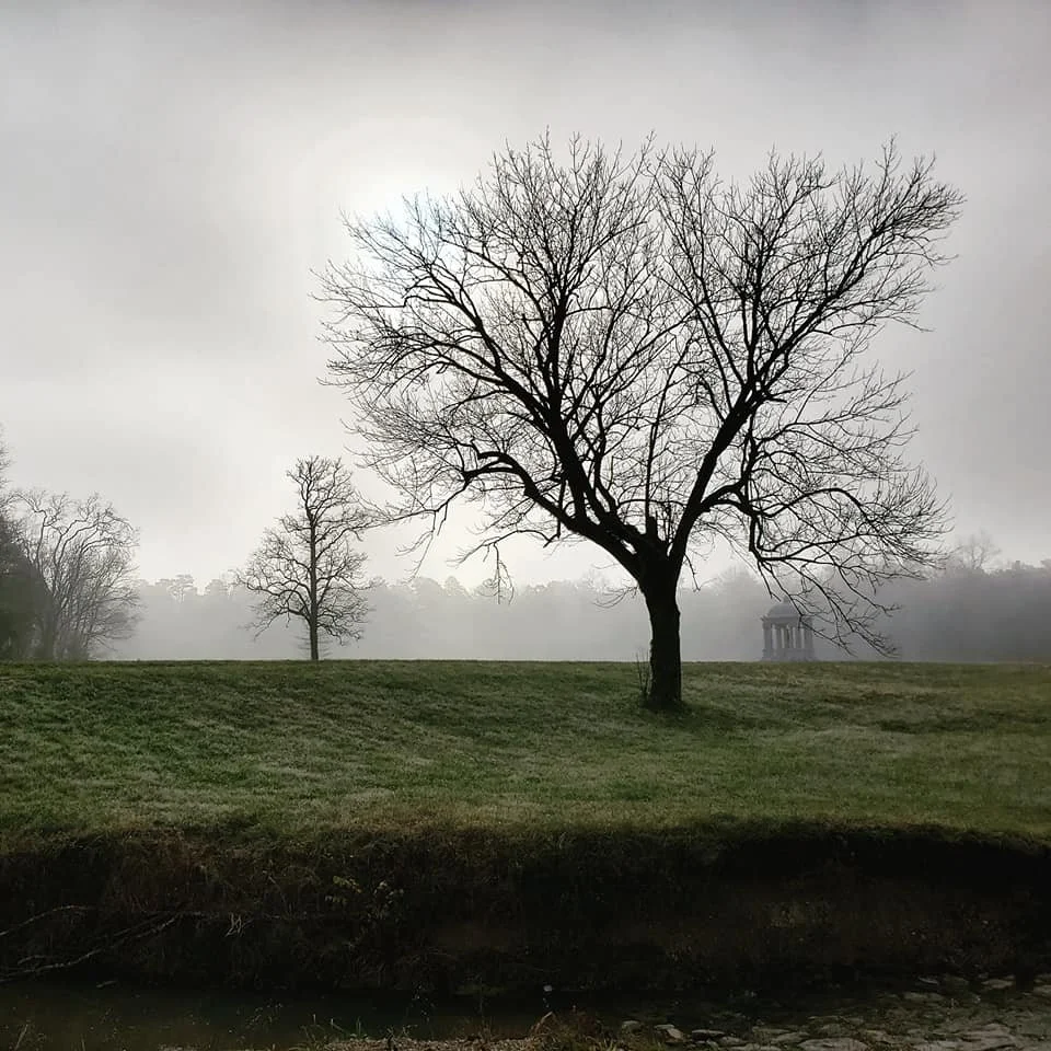 130267867_3883645544987729_8583427510297726820_n.jpg