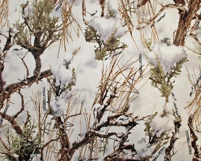 TRUE TIMBER MC2 SNOW