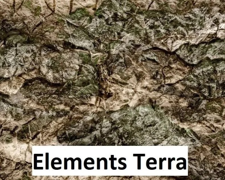 Mossy Oak Elevation Terra 