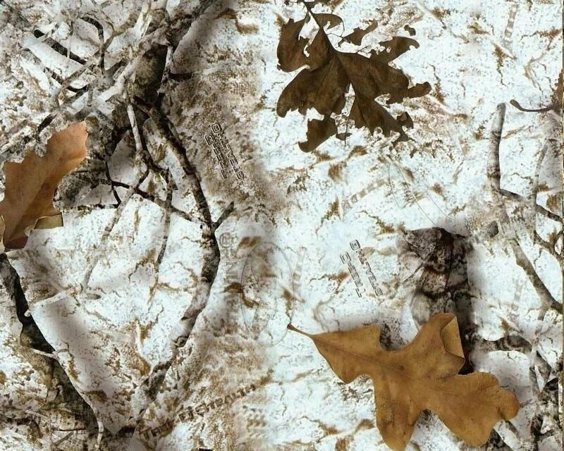 **MOTHWING WINTER MIMICRY 266 Special Order