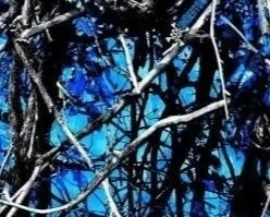 *** MOONSHINE UNDERTOW 822 Special Order