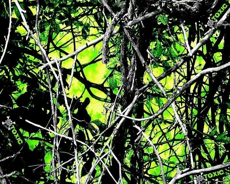 ***MOONSHINE TOXIC 821 Special Order